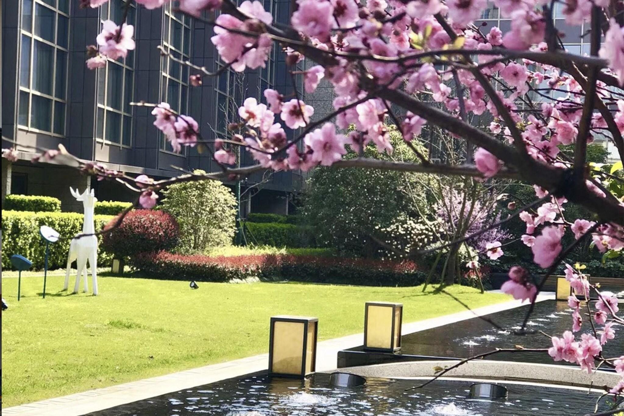 Double Deluxe King Bed