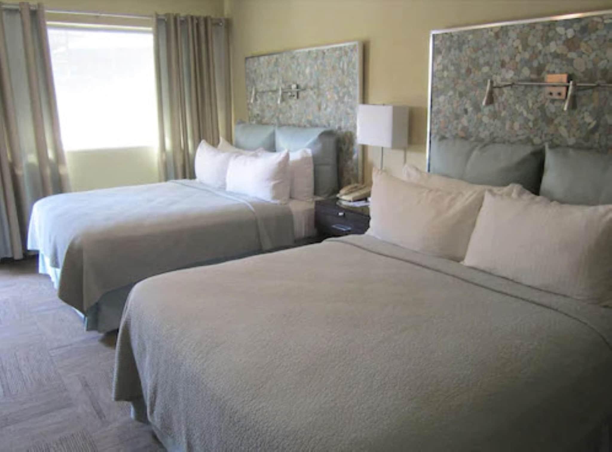 Room Accesible Deluxe 