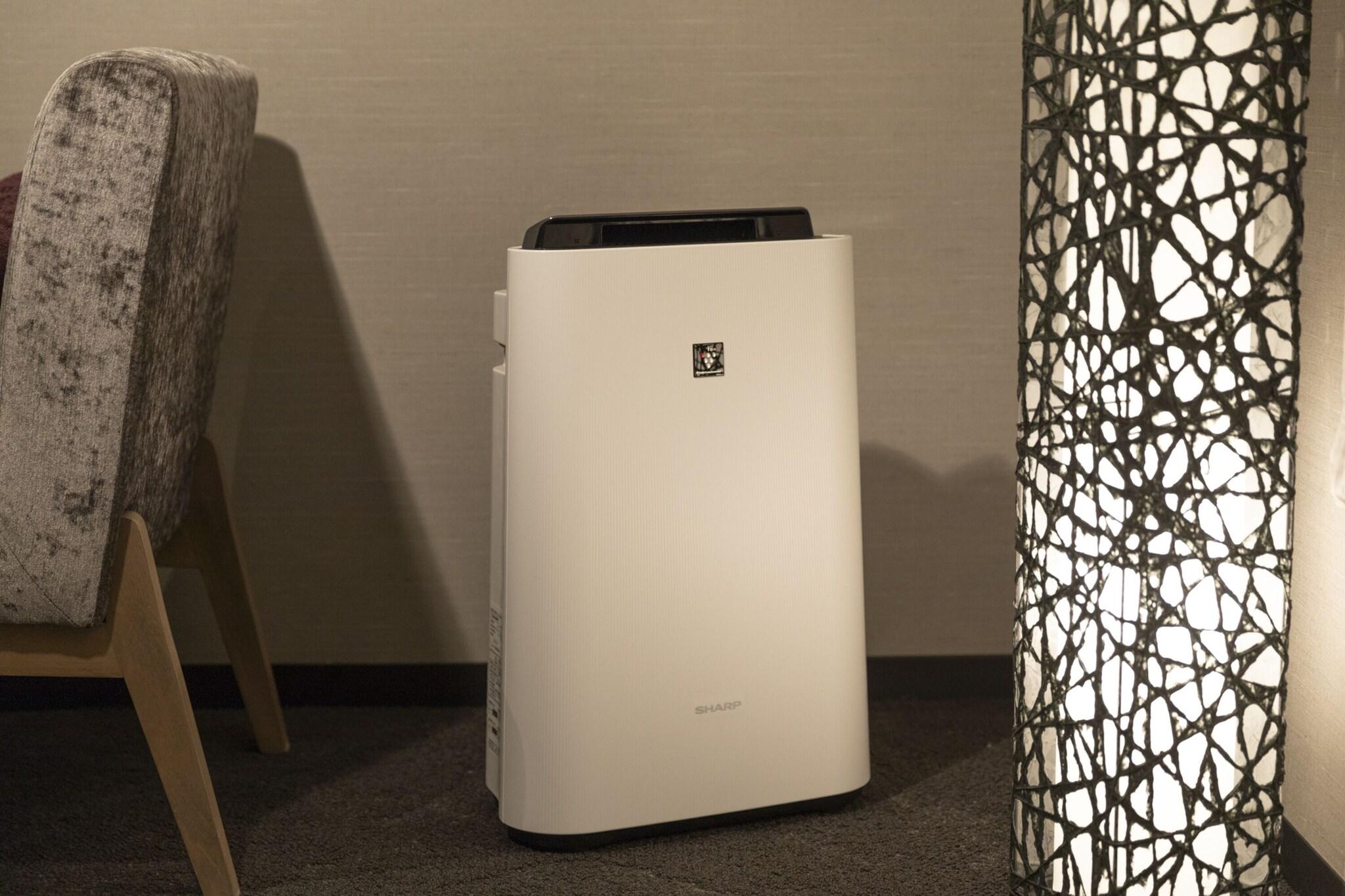 Twin Deluxe Two Beds