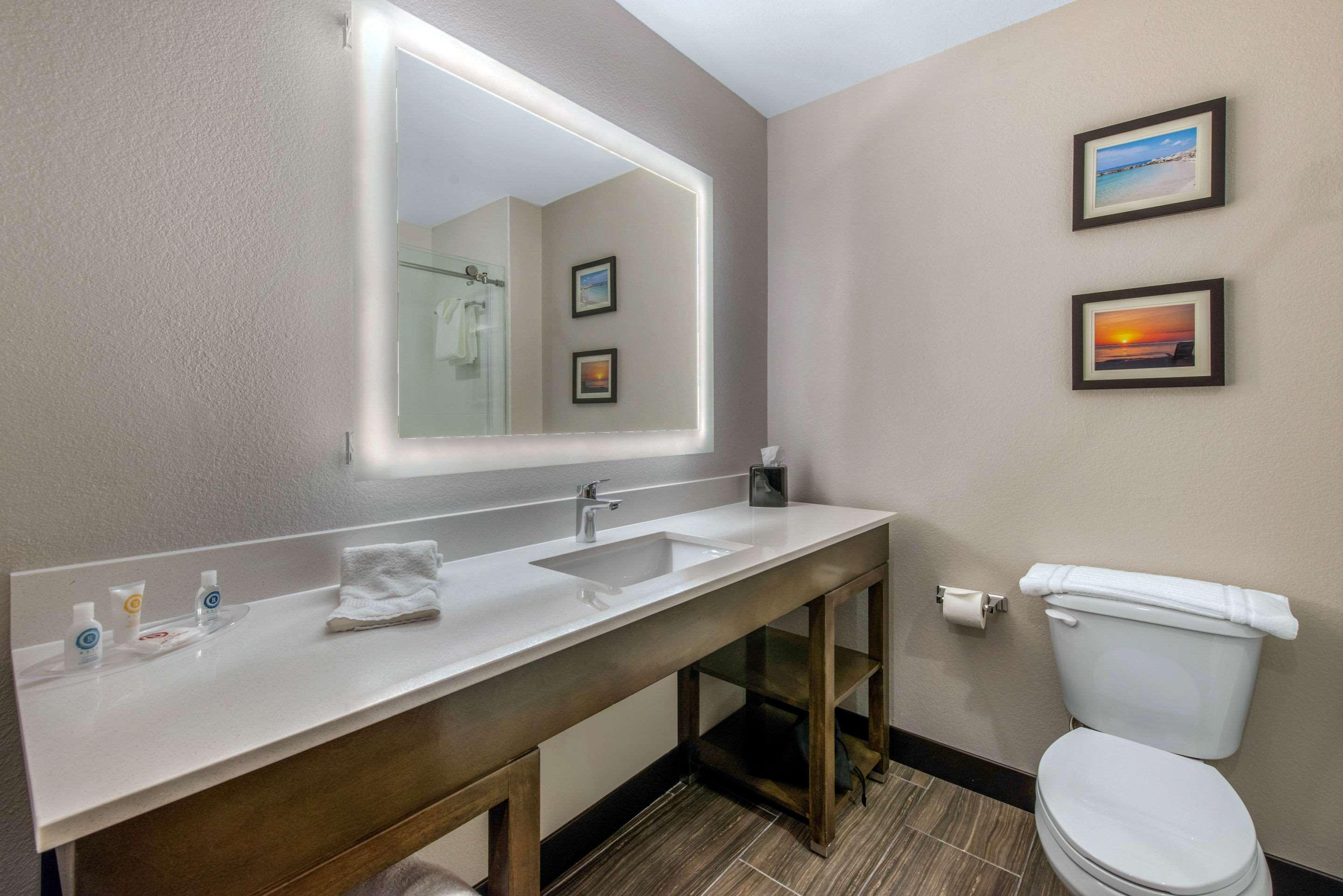 Suite King Bed Non Smoking