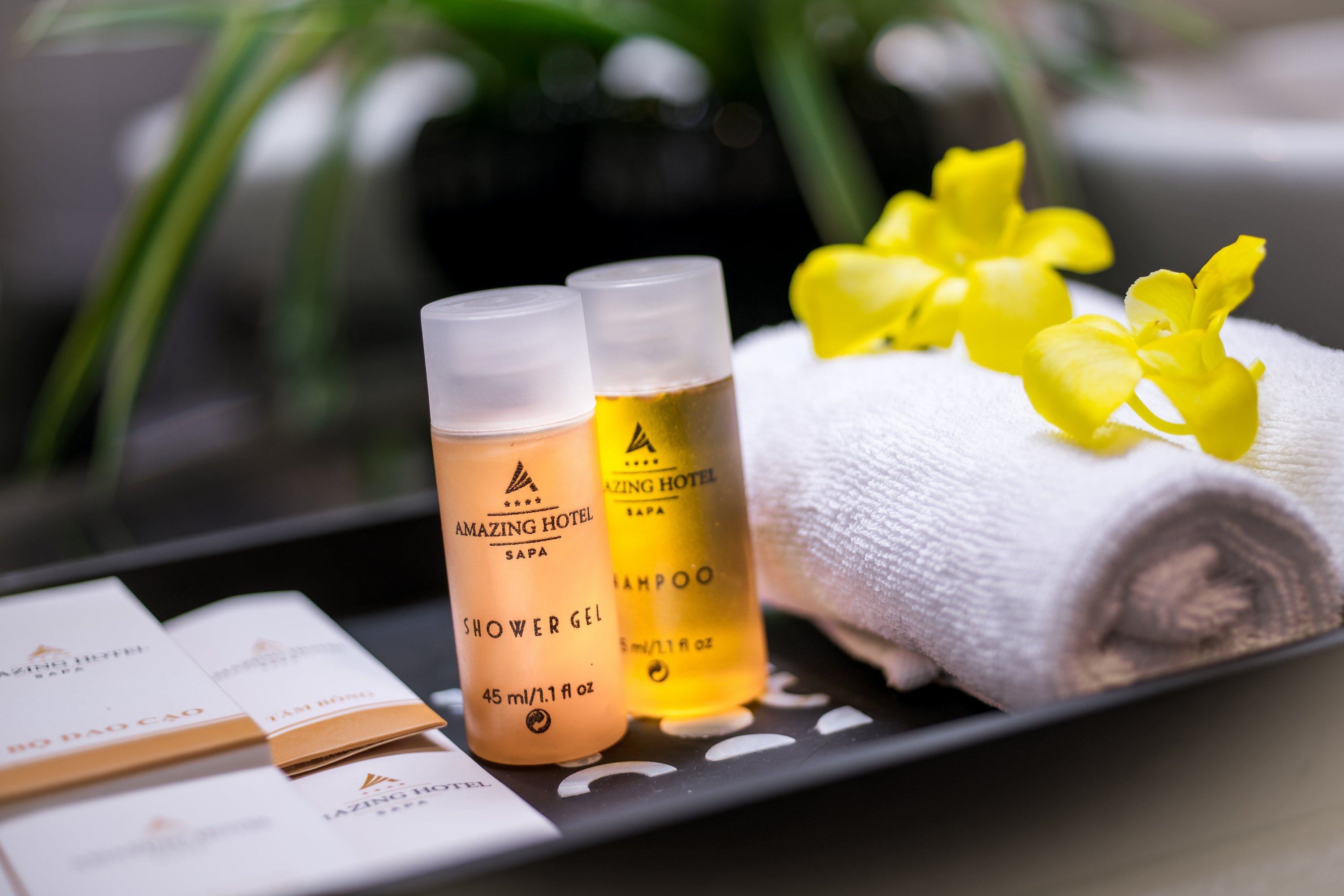 Double or Twin Superior