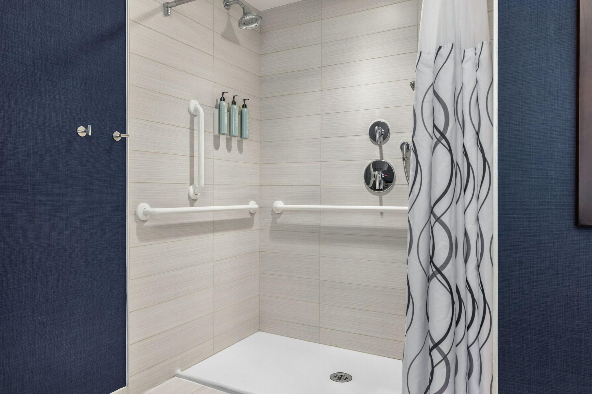 Suite King Bed One Bedroom 