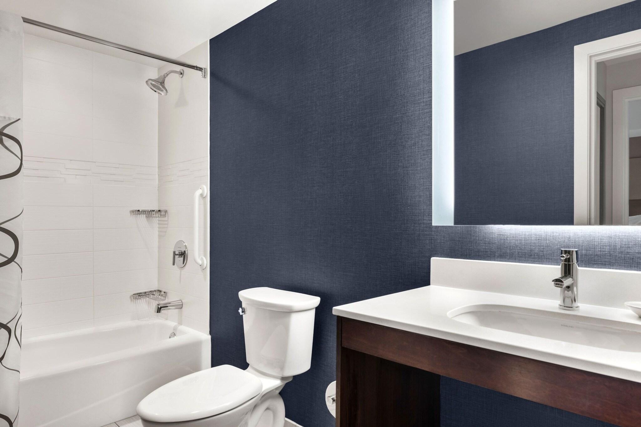 Suite King Bed One Bedroom 