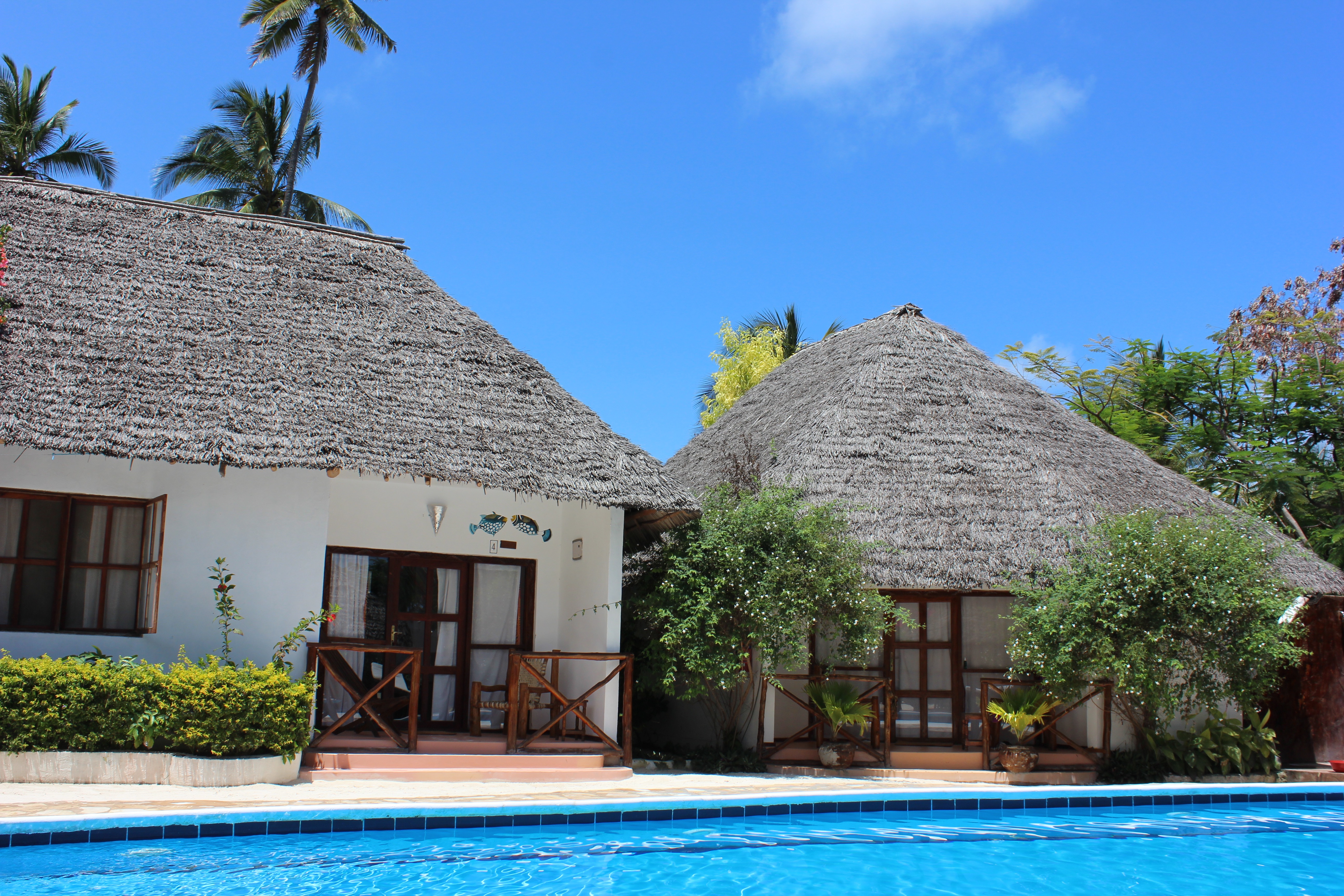 Family Room Pool View