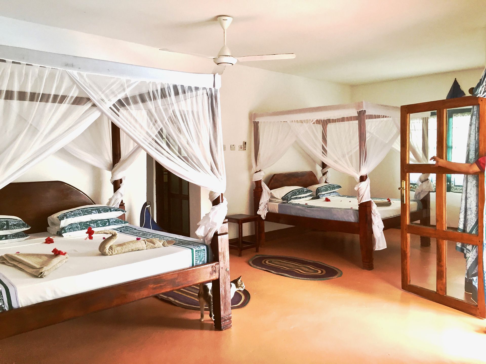 Family Room Pool View