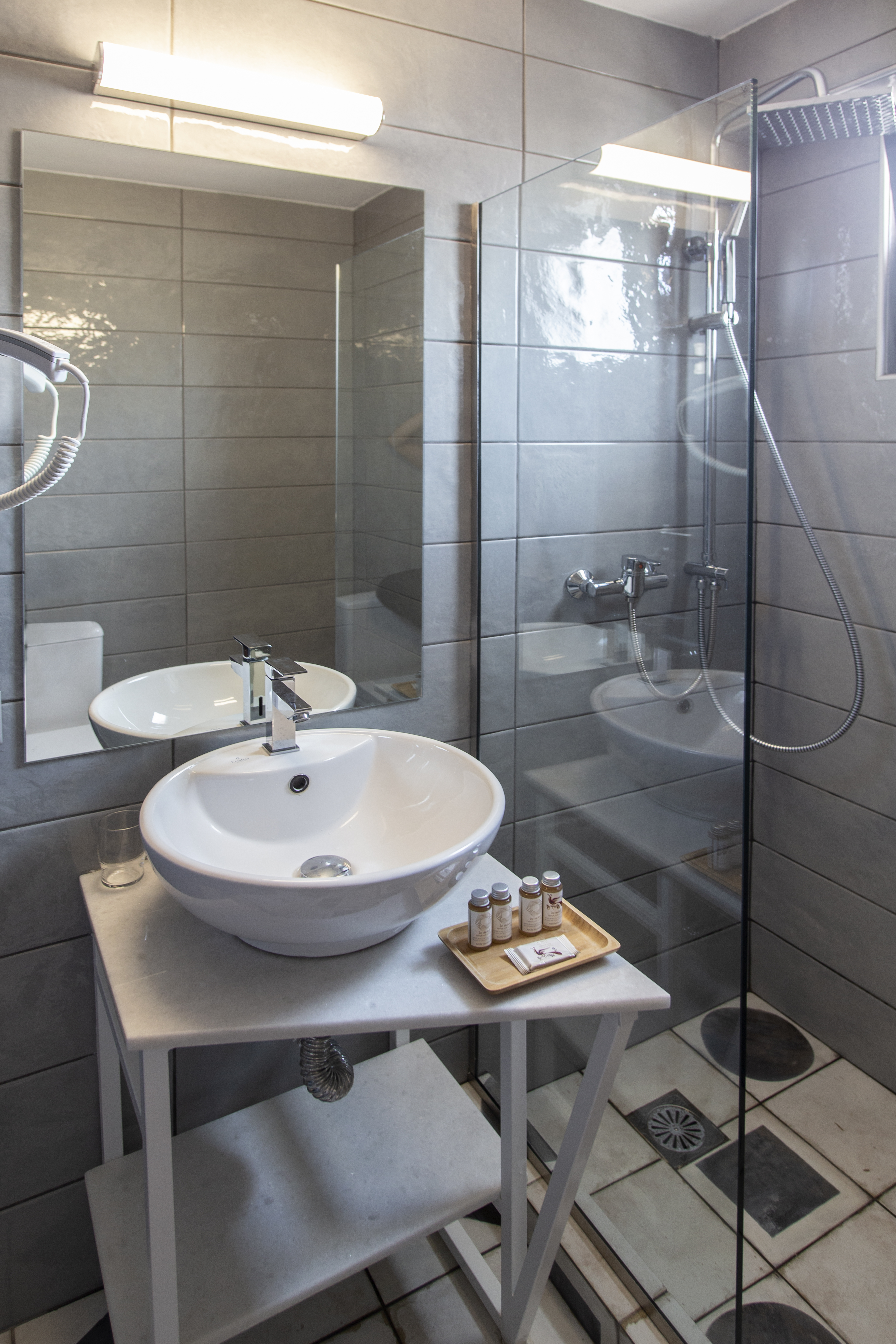 Double or Twin Economy