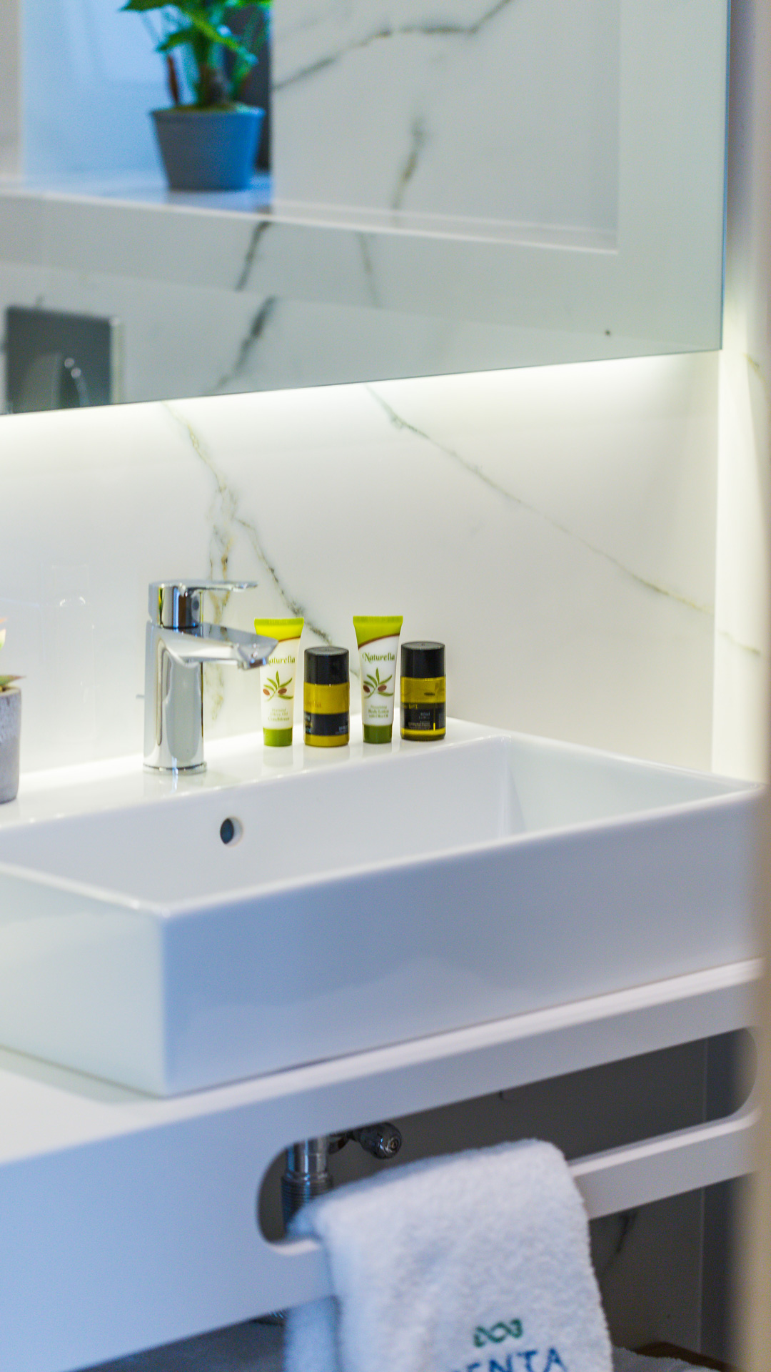 Double or Twin Superior