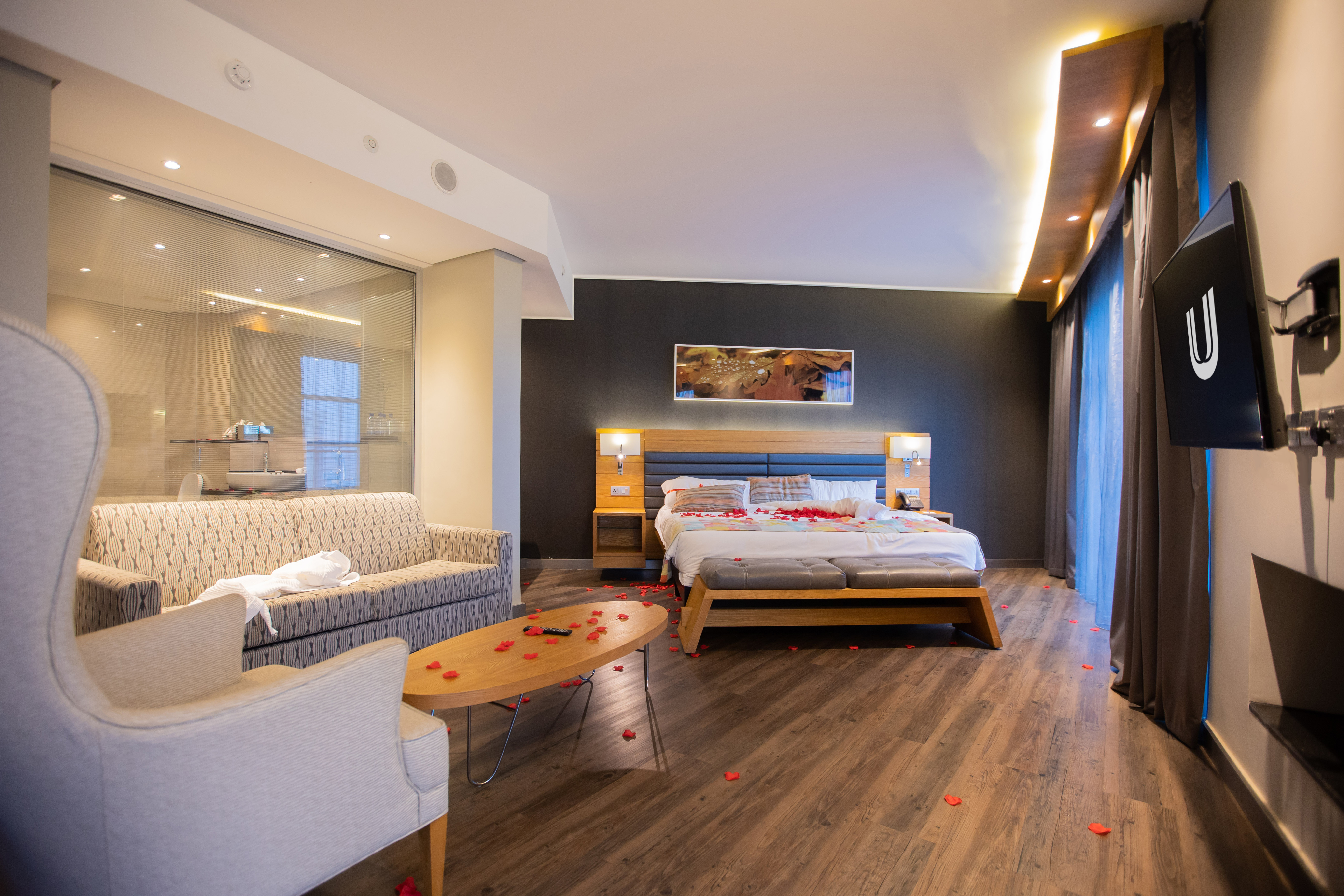 Junior Suite Capacity 1