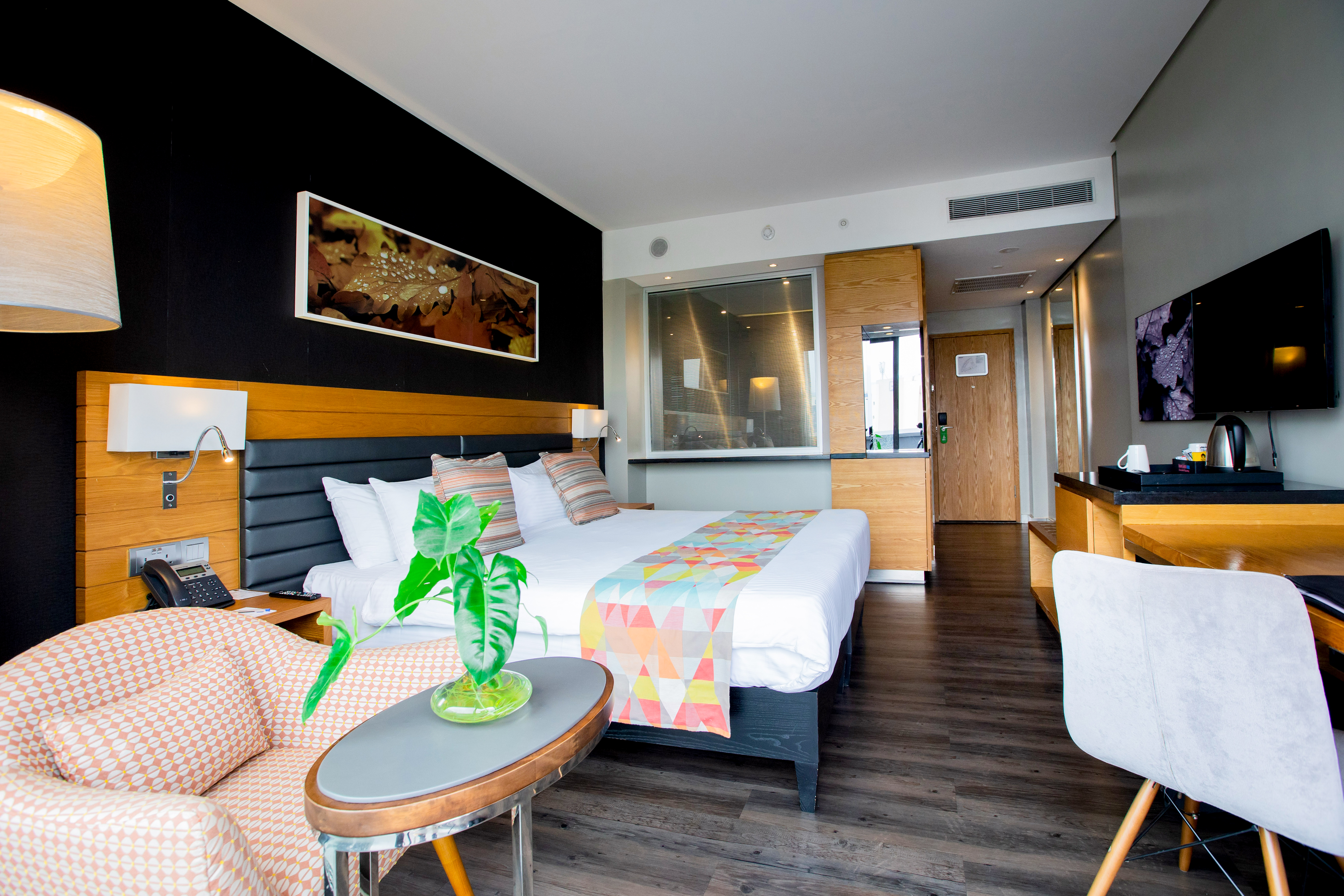 Single Classic with Terrace