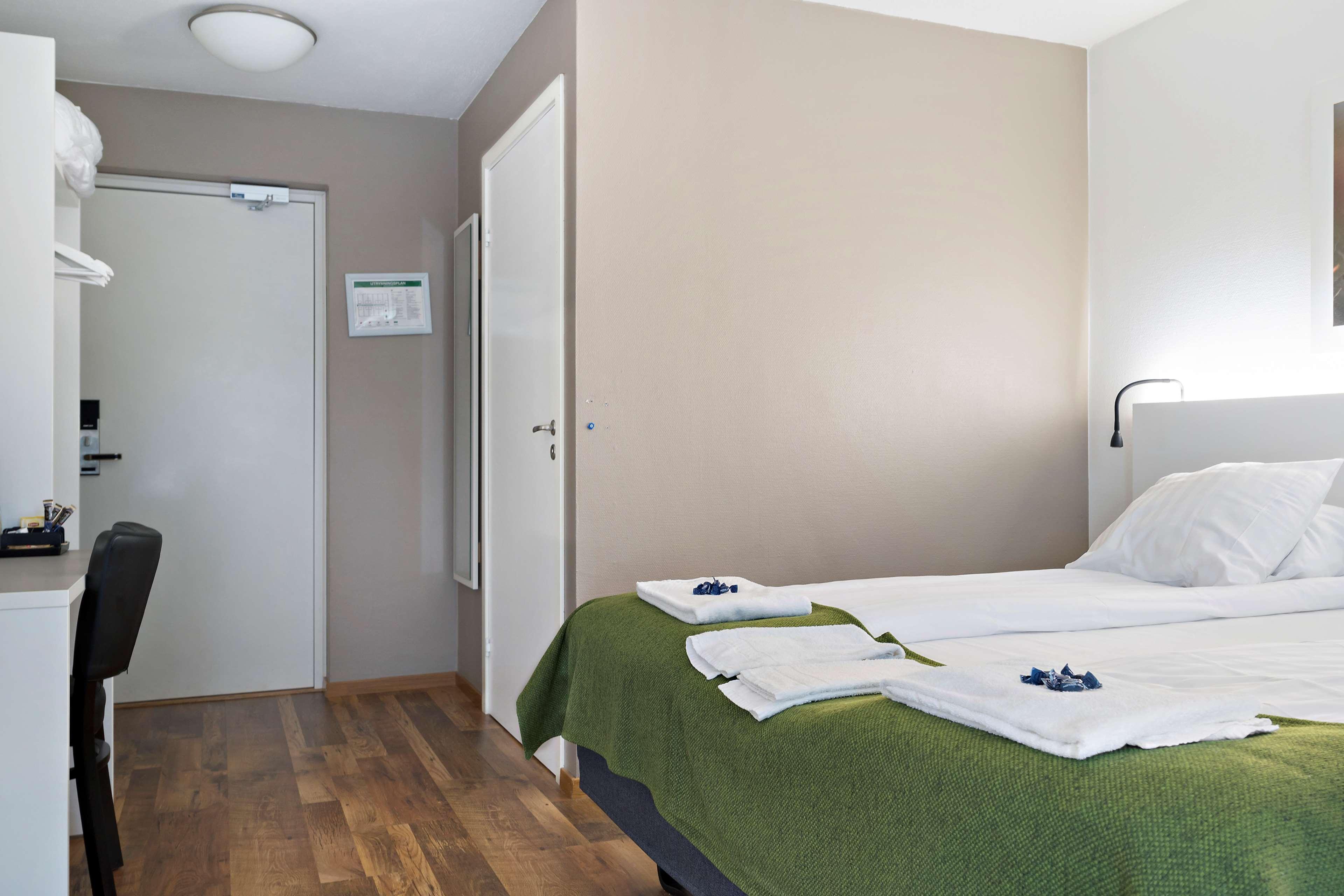 Family Room Bunk Bed