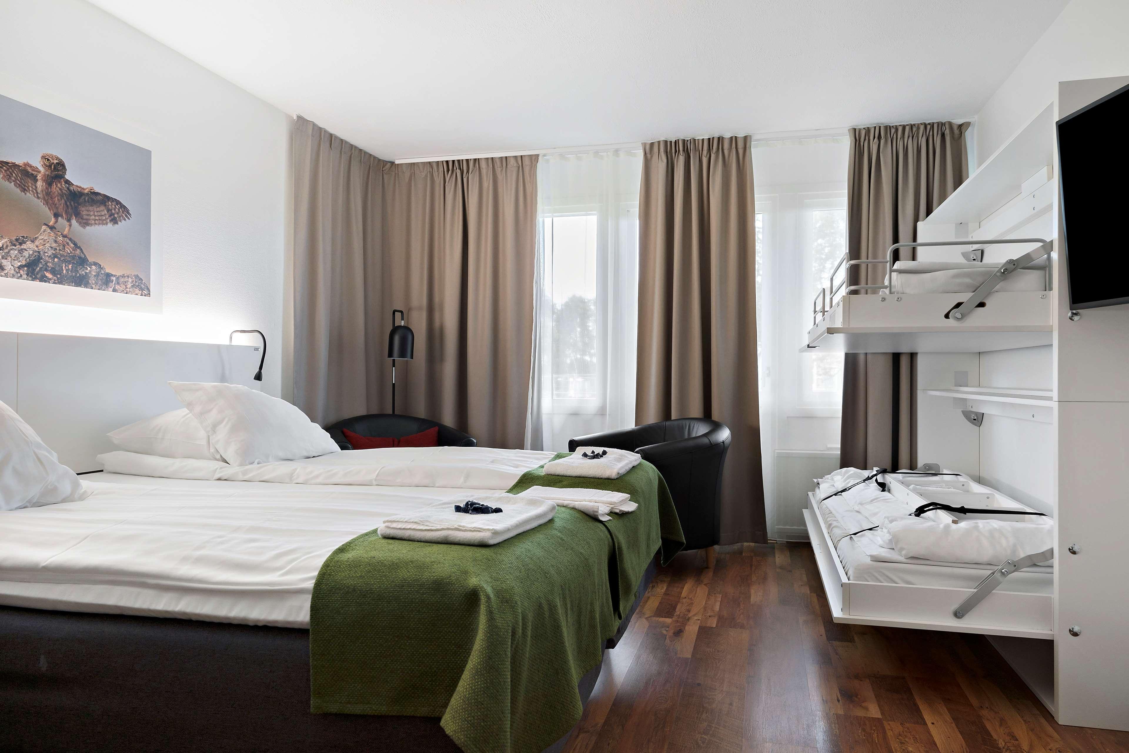 Family Room Bunk Bed