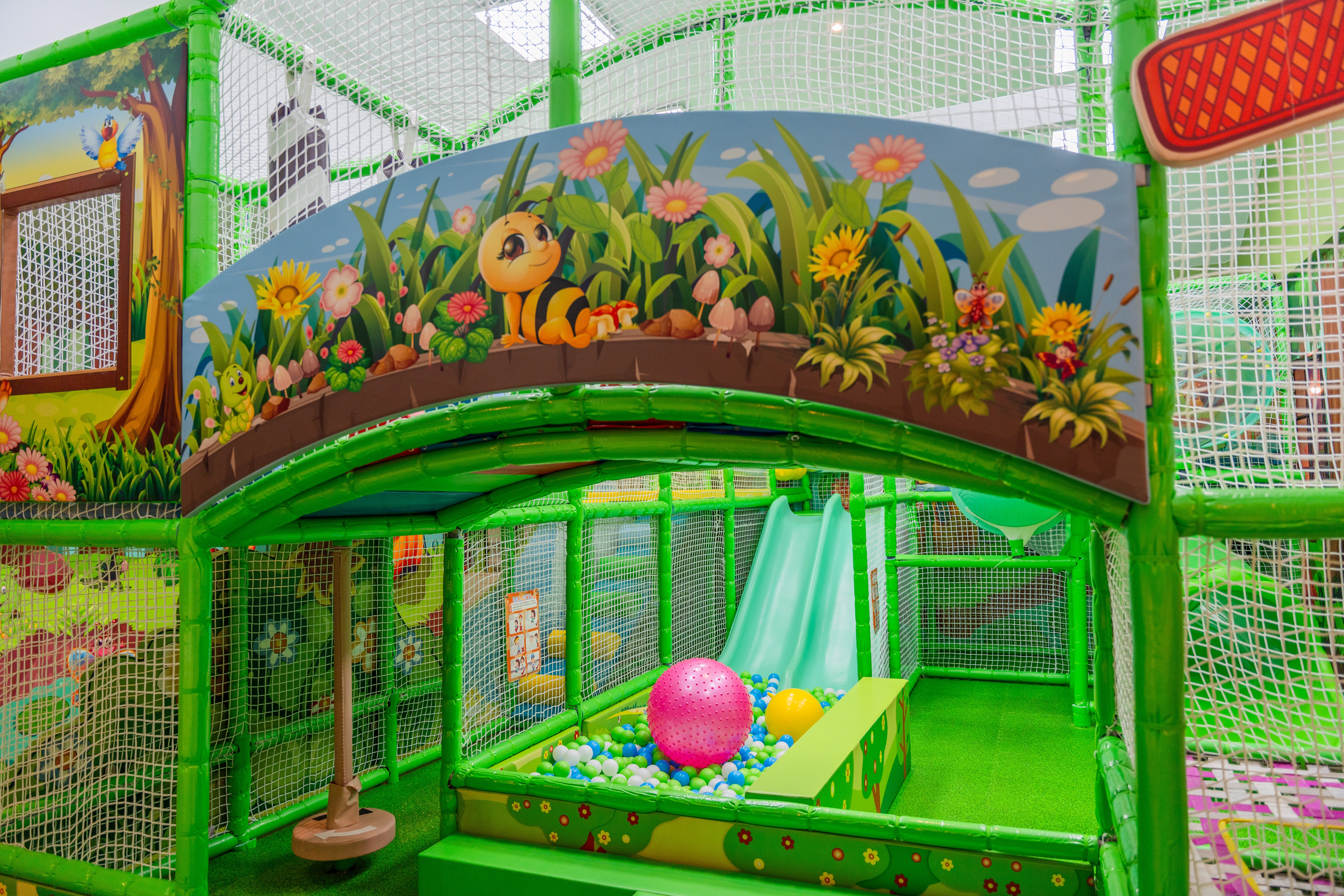 Sports and Entertainment