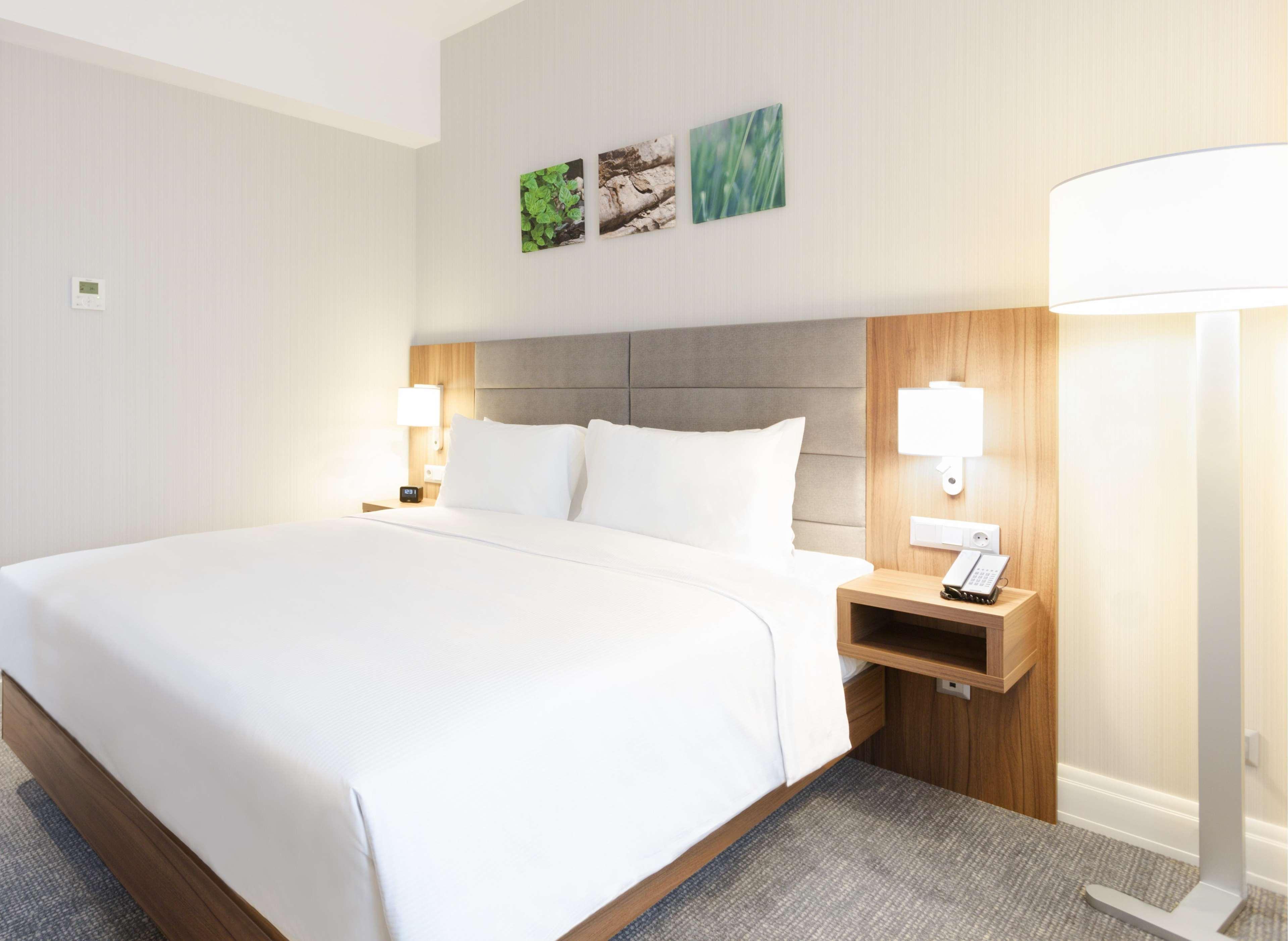 Suite King Bed One Bedroom 