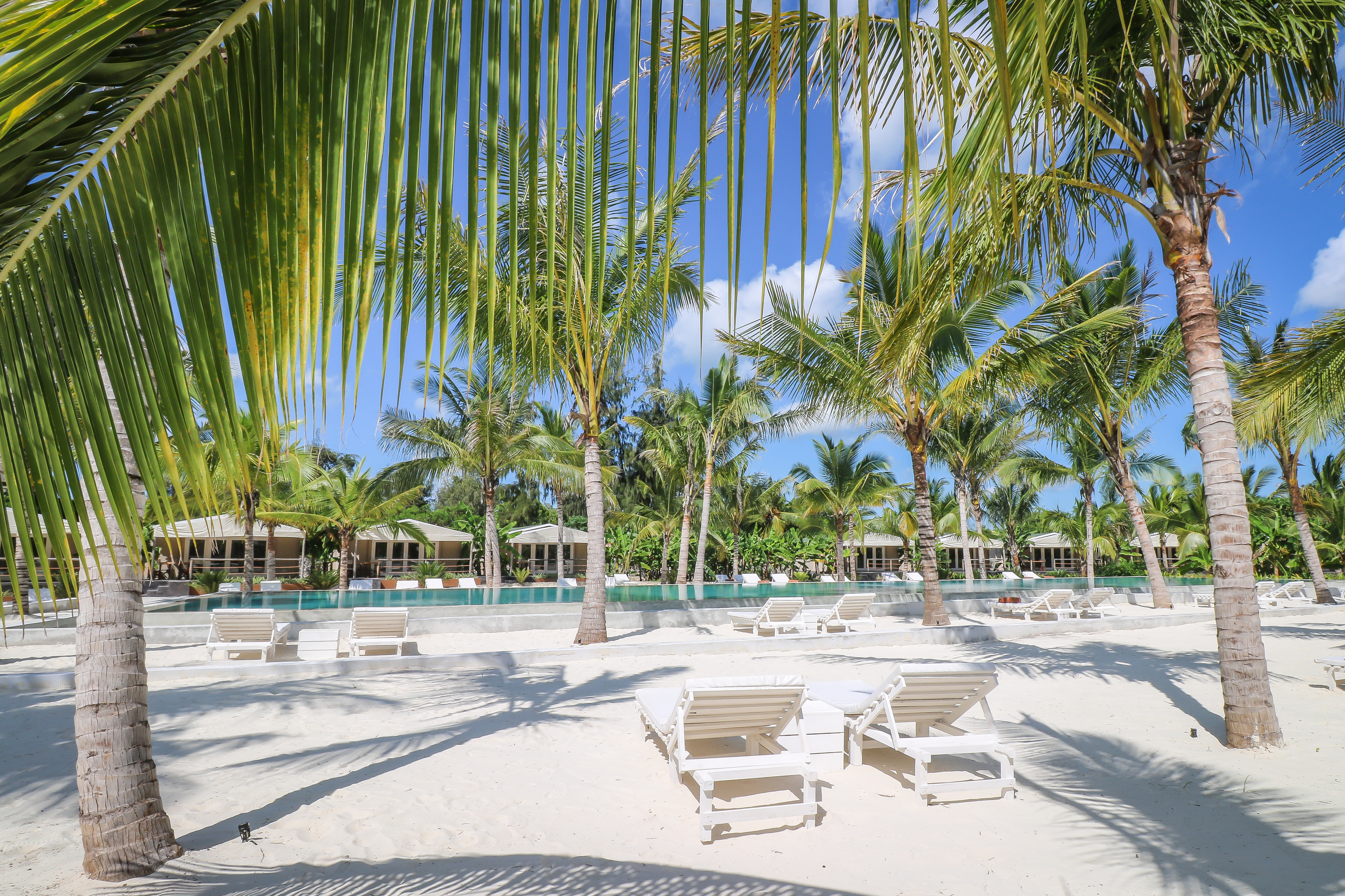 Apartment Pool View One Bedroom