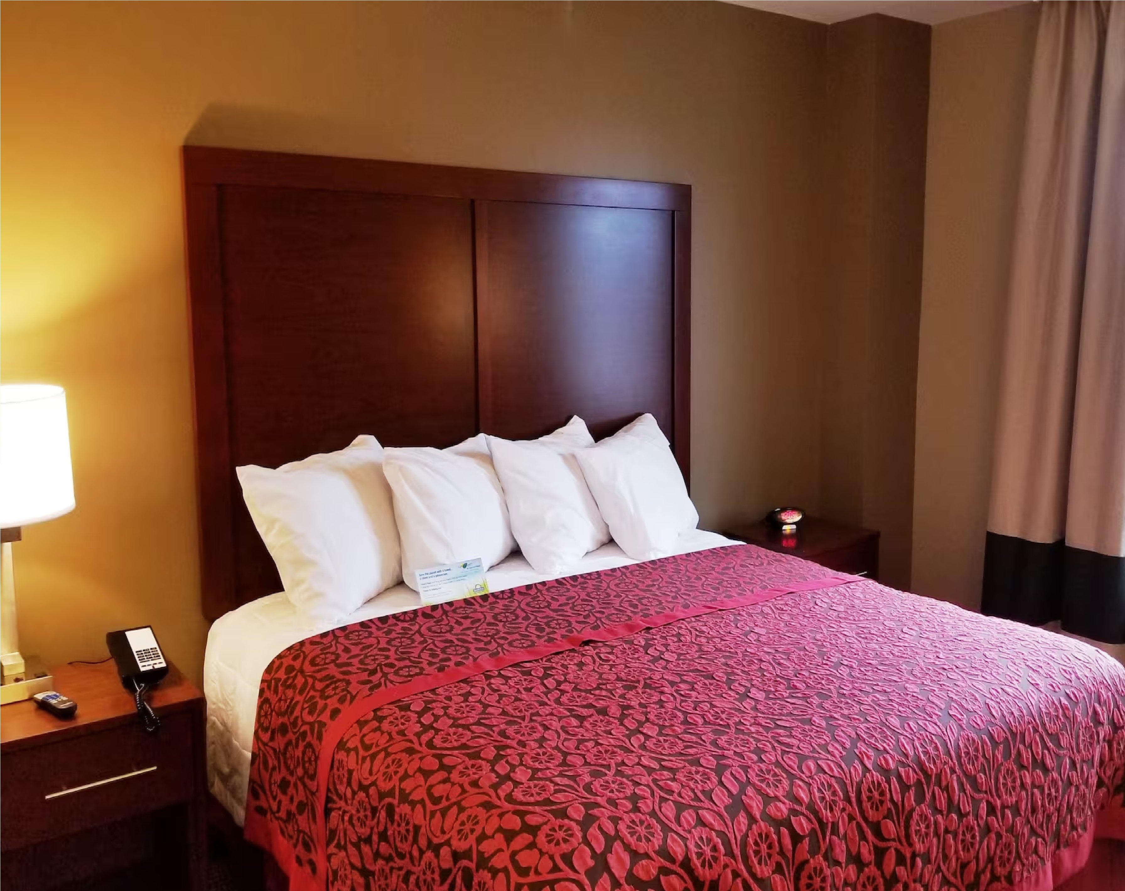 Double King Bed Non Smoking