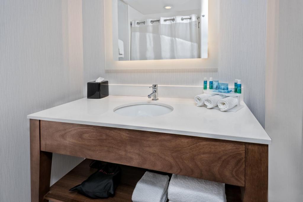 Suite Accessible King Size Bed