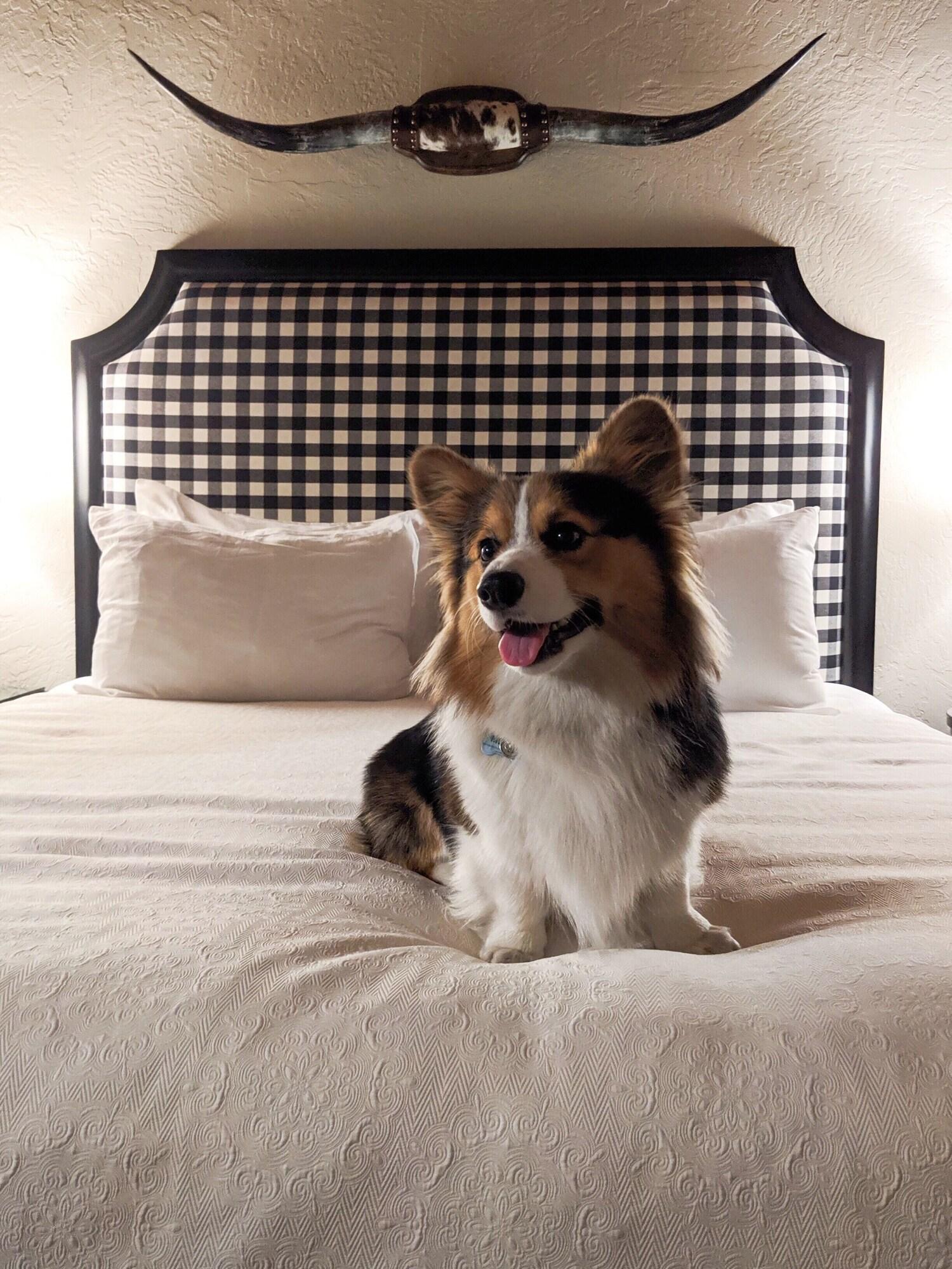 Suite with Kitchenette