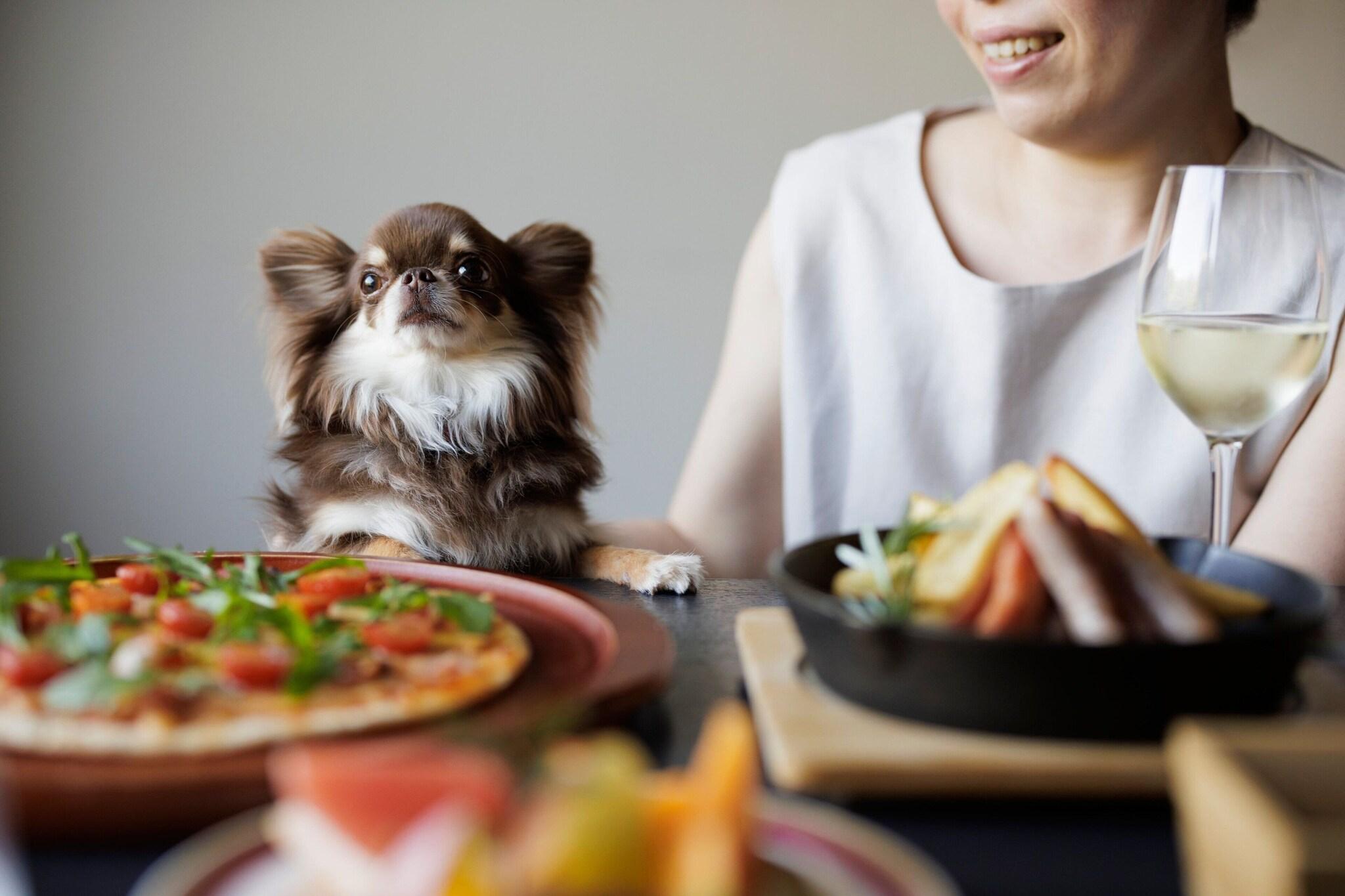 Twin Guest Room Garden View
