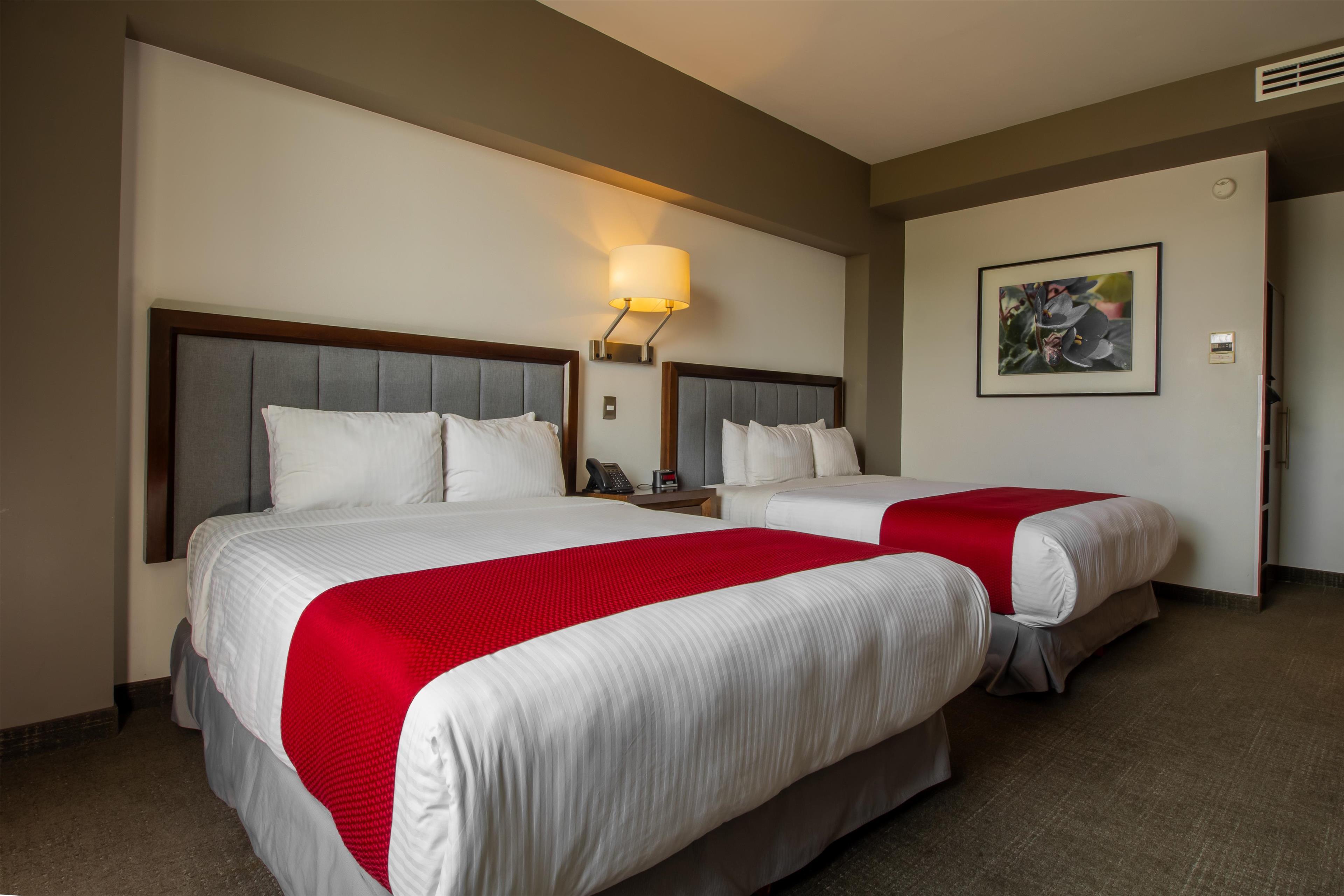 Quadruple Two Queen Beds Non Smoking