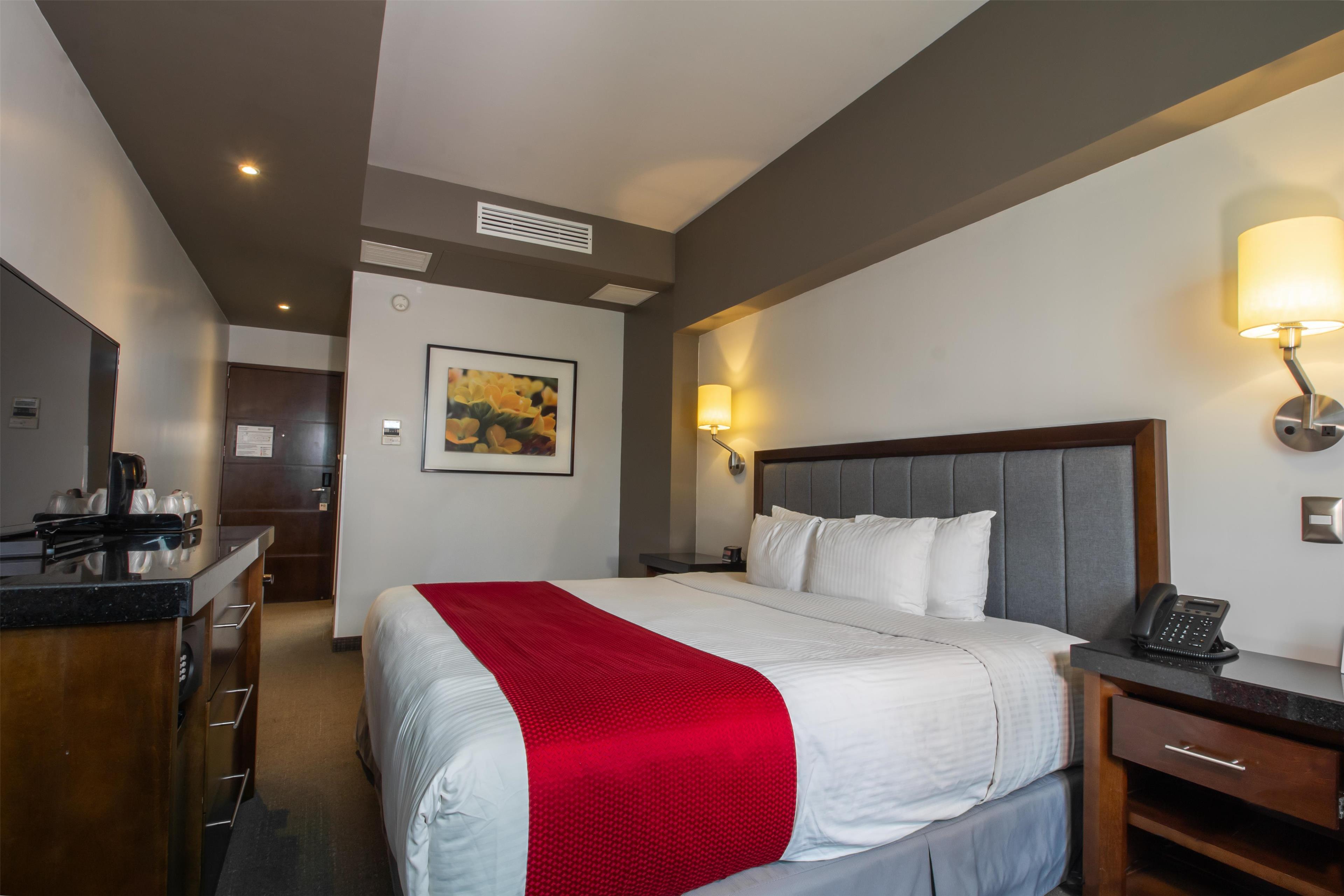 Double King Bed Non Smoking