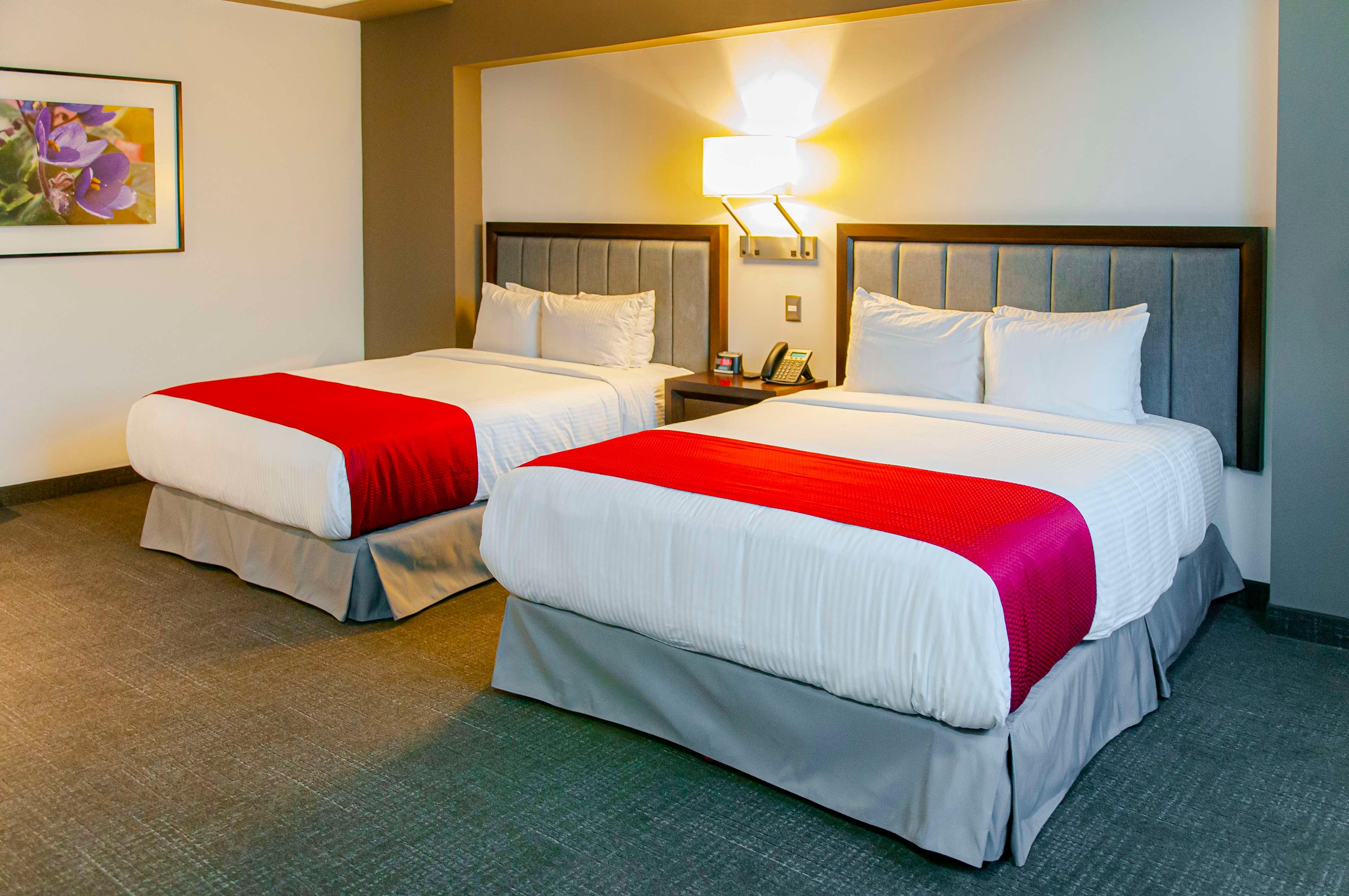 Quadruple Two Queen Beds