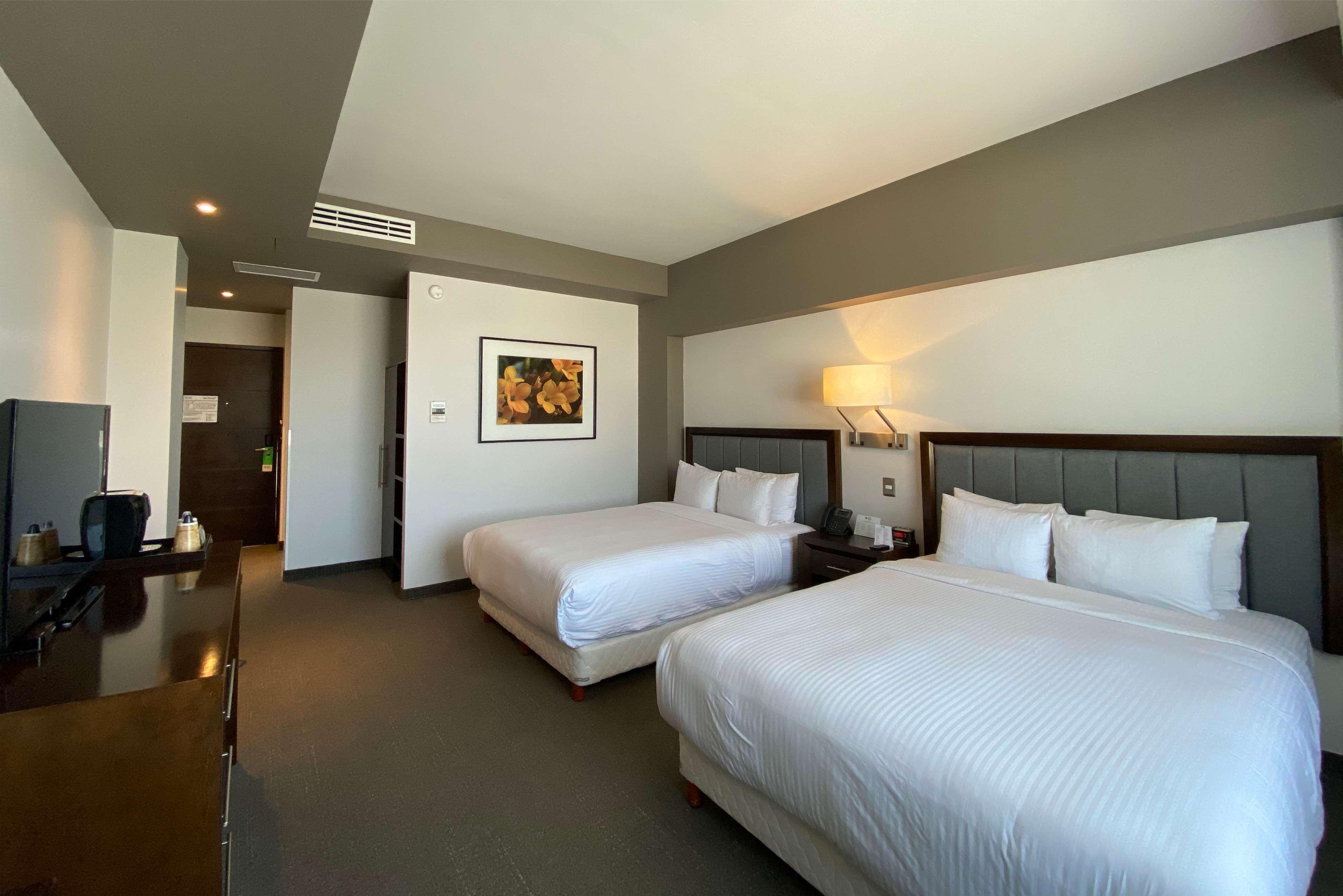 Quadruple Two Queen Beds