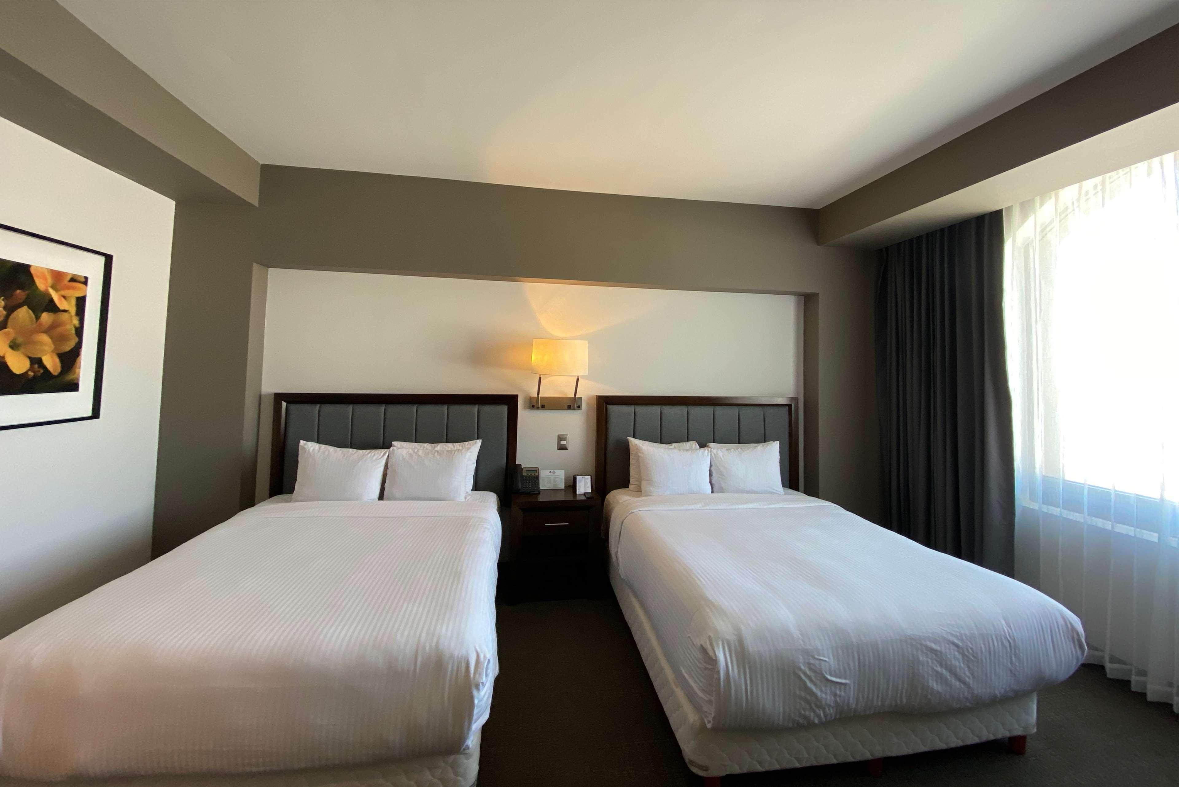 Quadruple Two Queen Beds