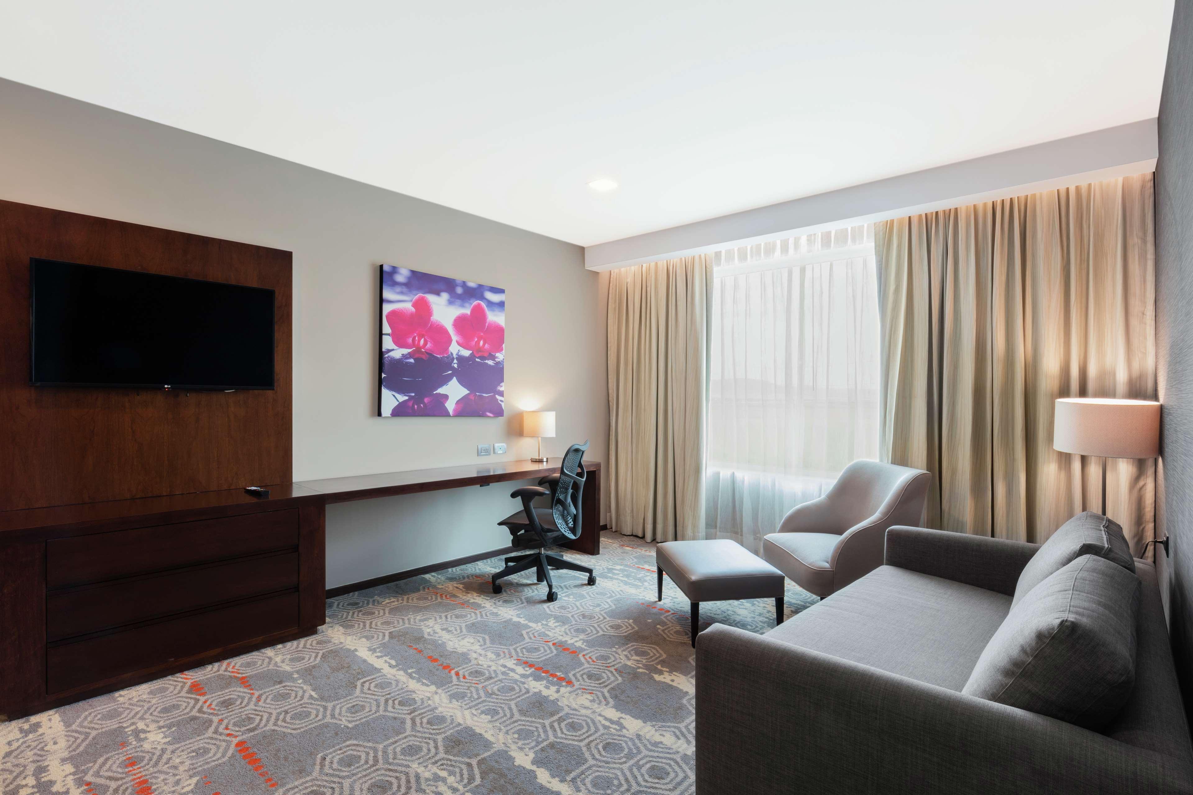 Suite King Bed One Bedroom 