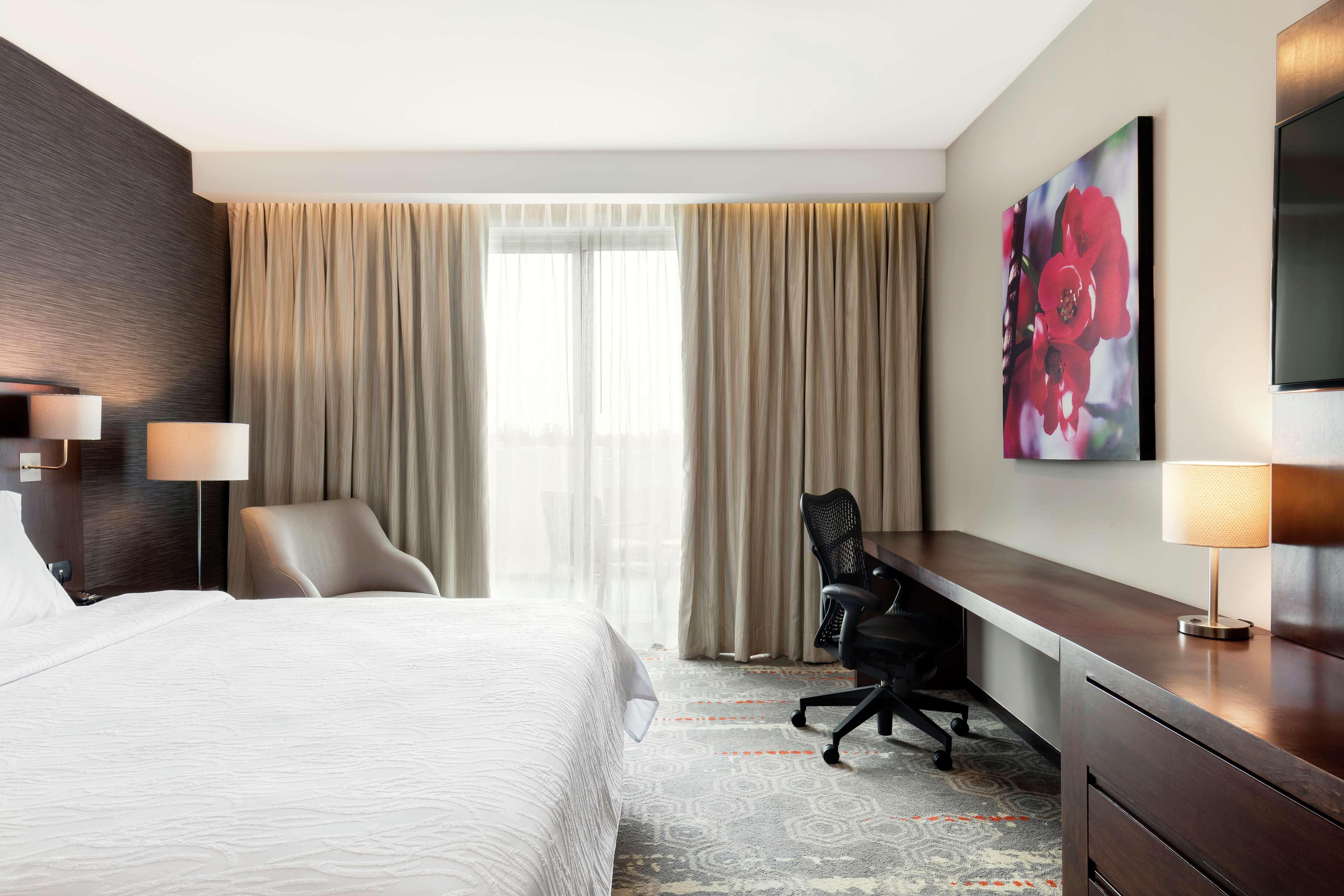 Suite King Bed One Bedroom 