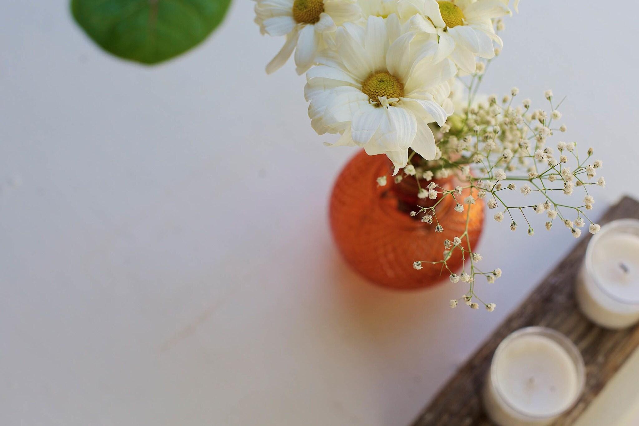 Double Queen Size Bed