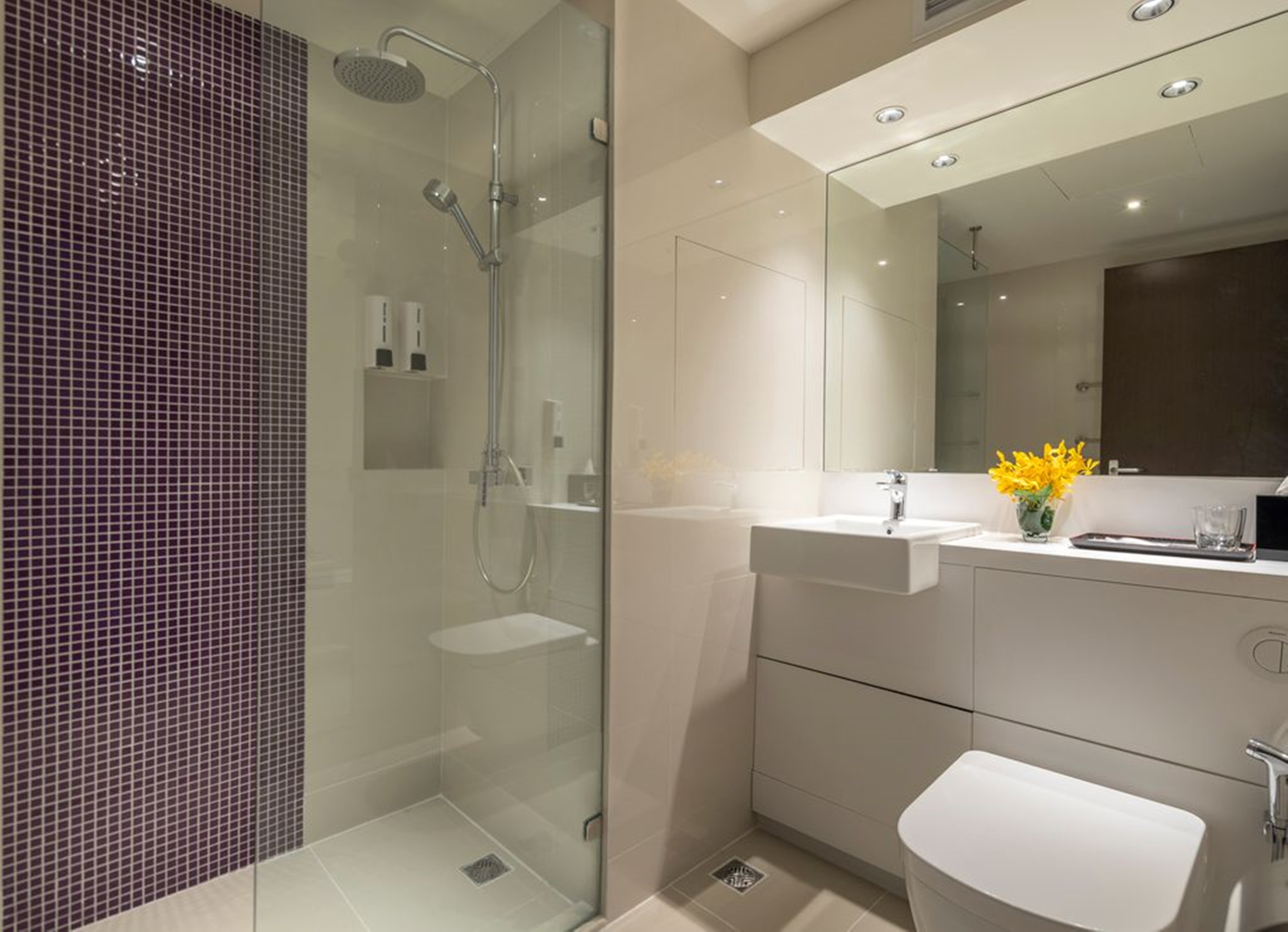 Double or Twin Superior