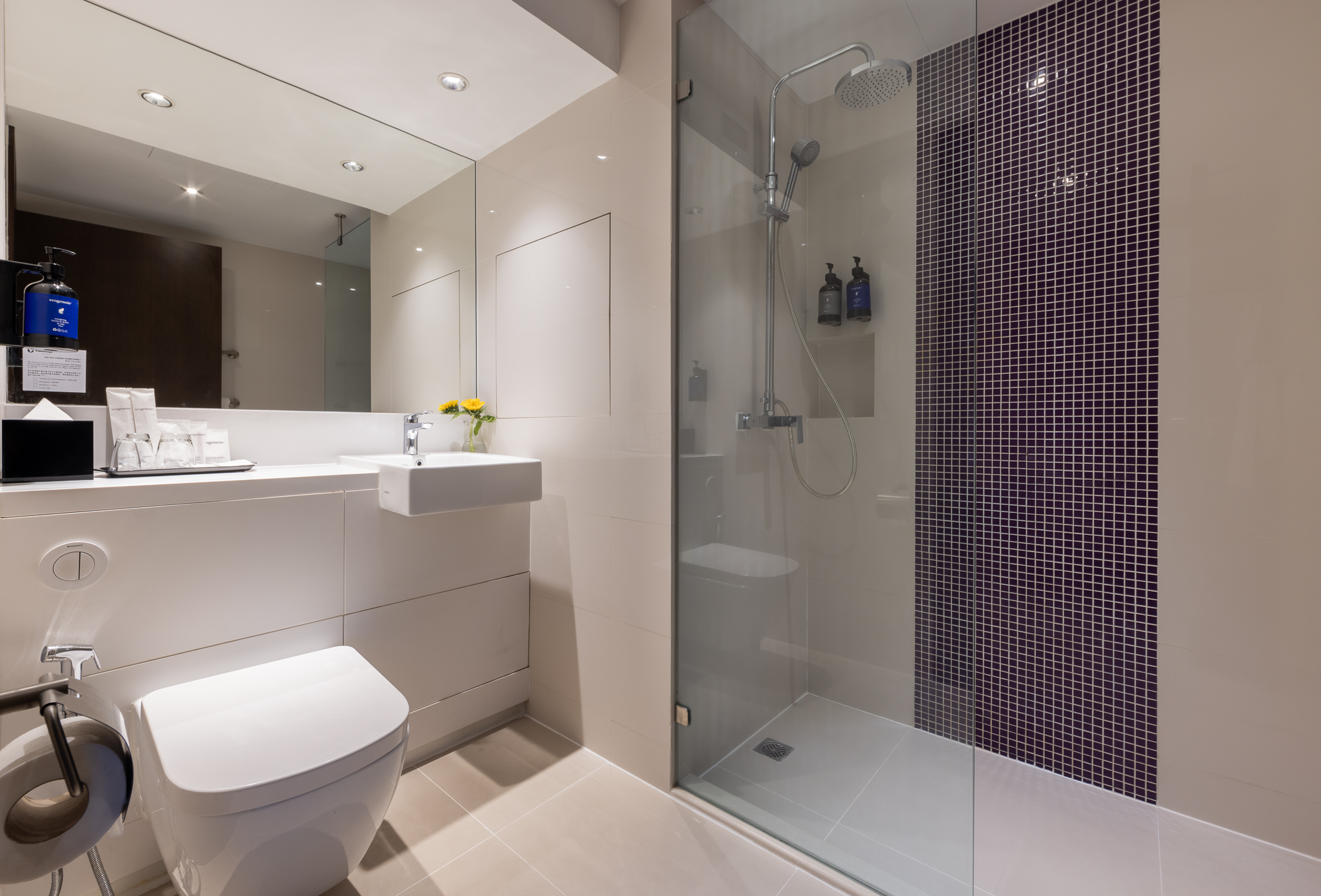 Double or Twin Deluxe