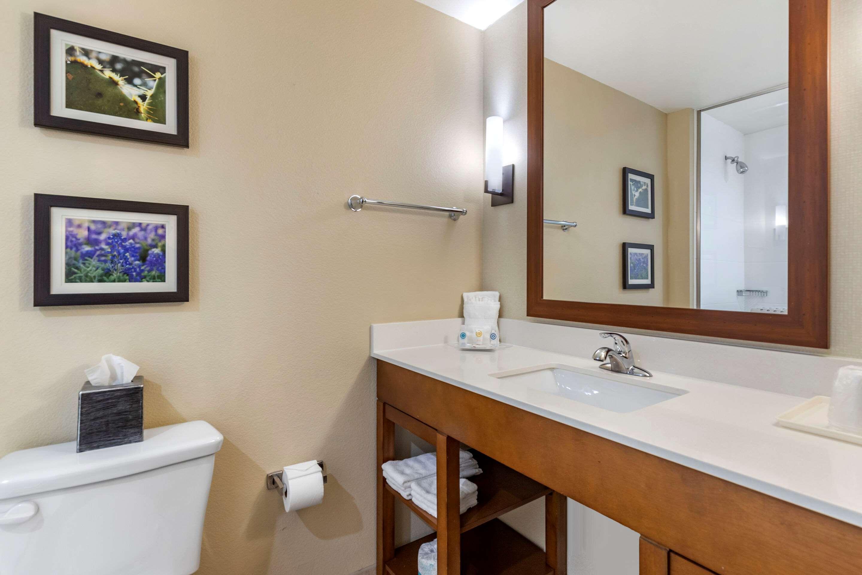 Suite King Bed Non Smoking