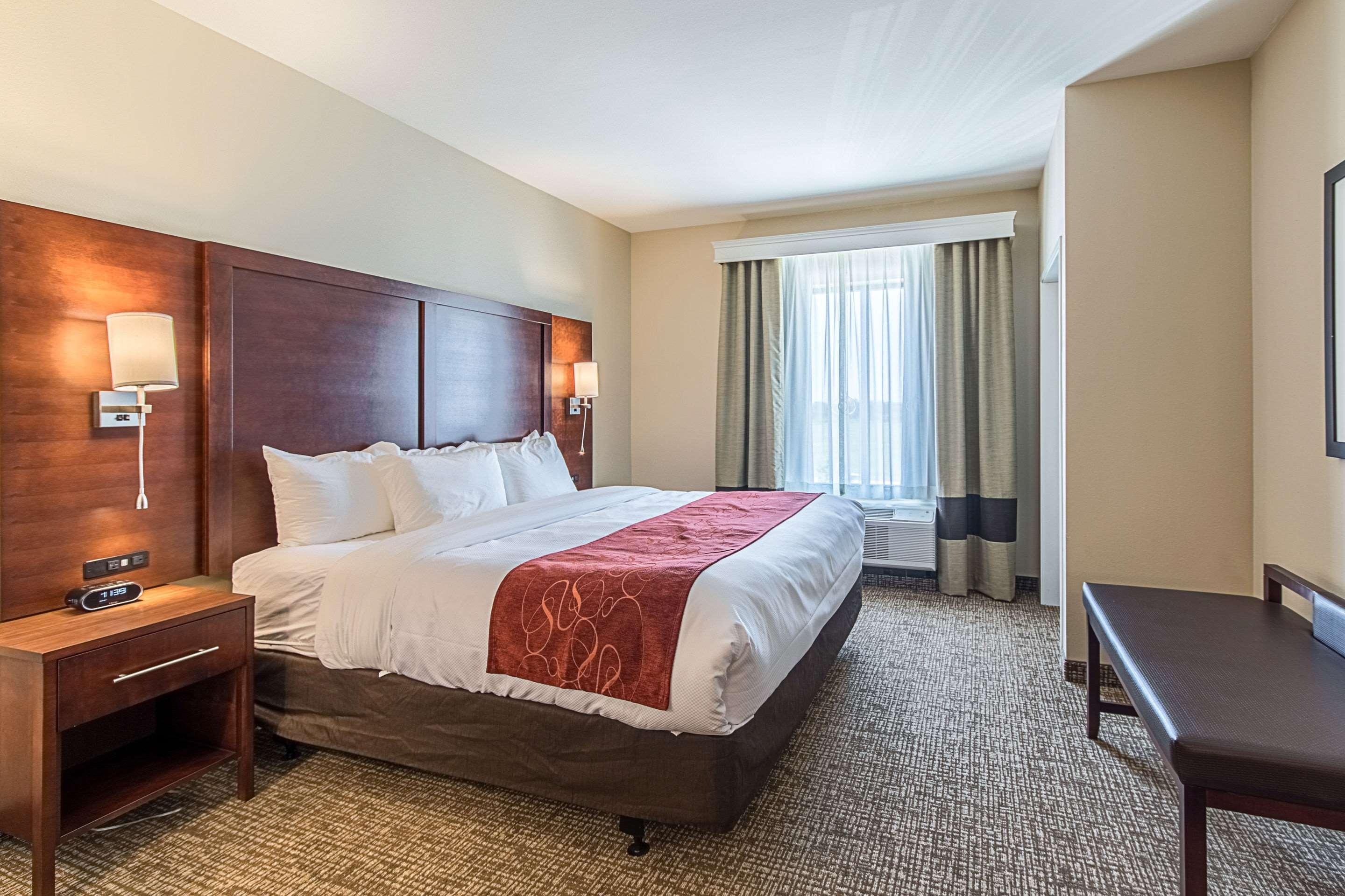 Suite King Bed Non Smoking