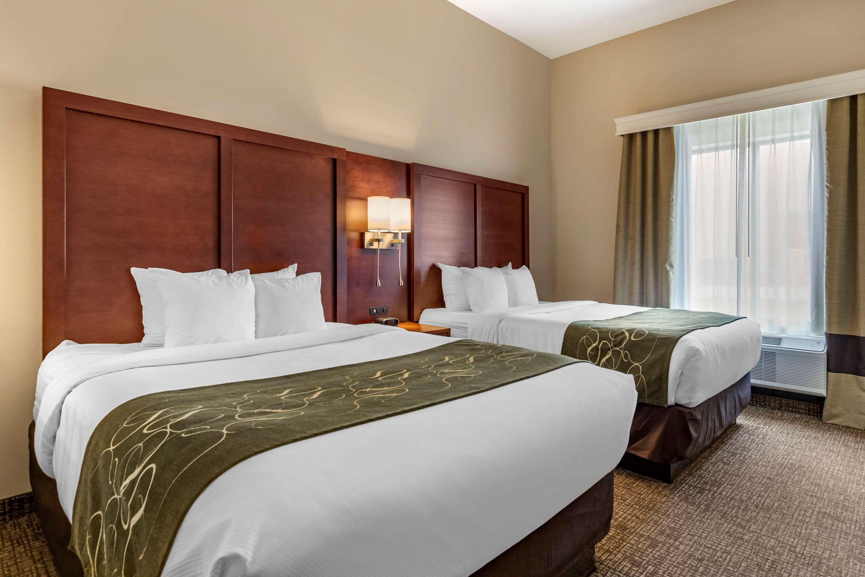 Suite Two Queen Beds