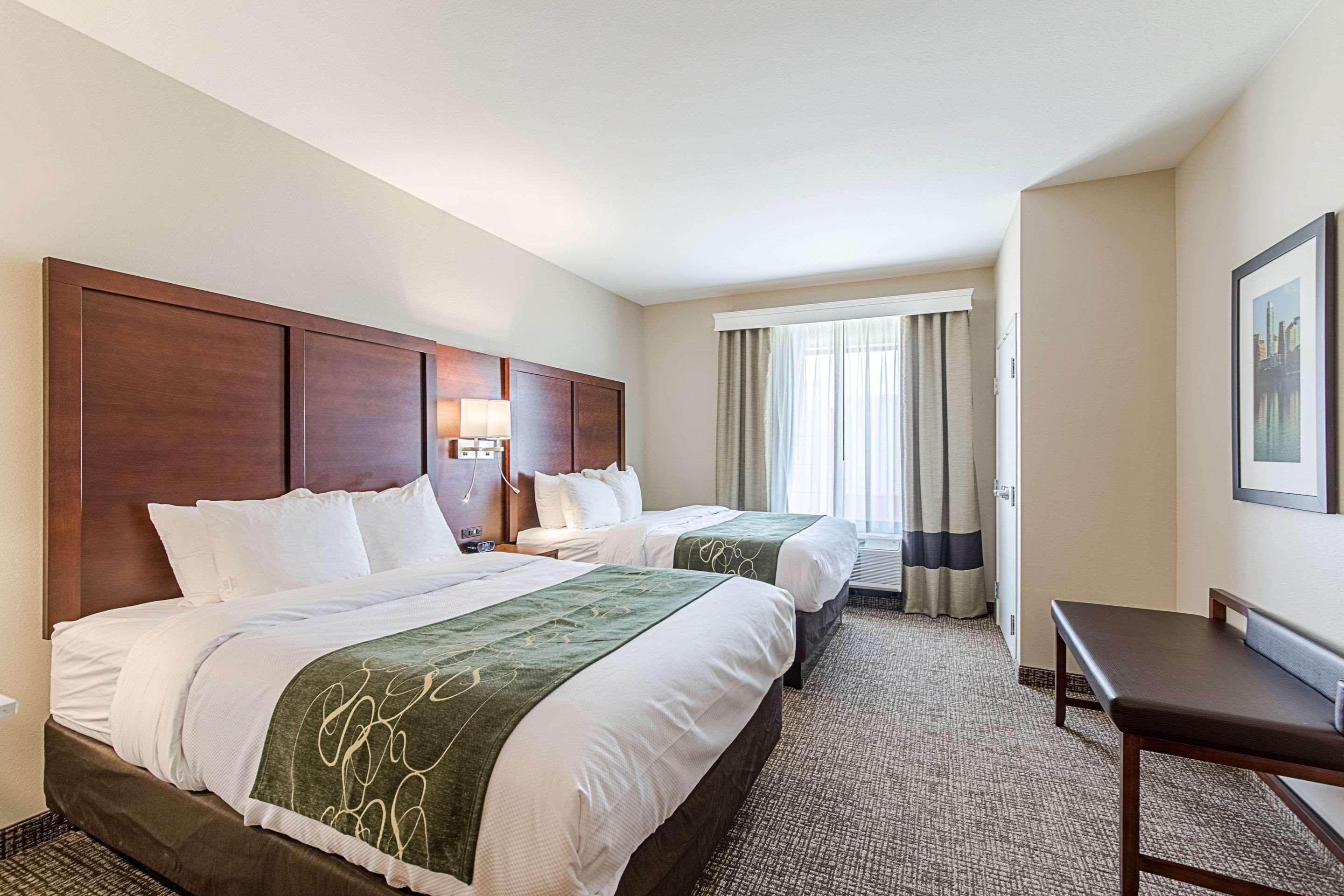 Suite Two Queen Beds Non Smoking