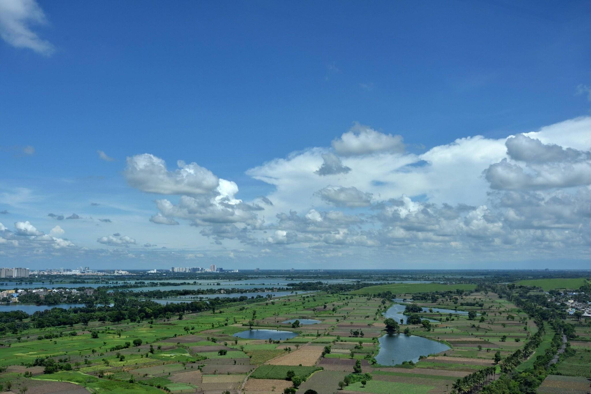 Double Executive King Bed