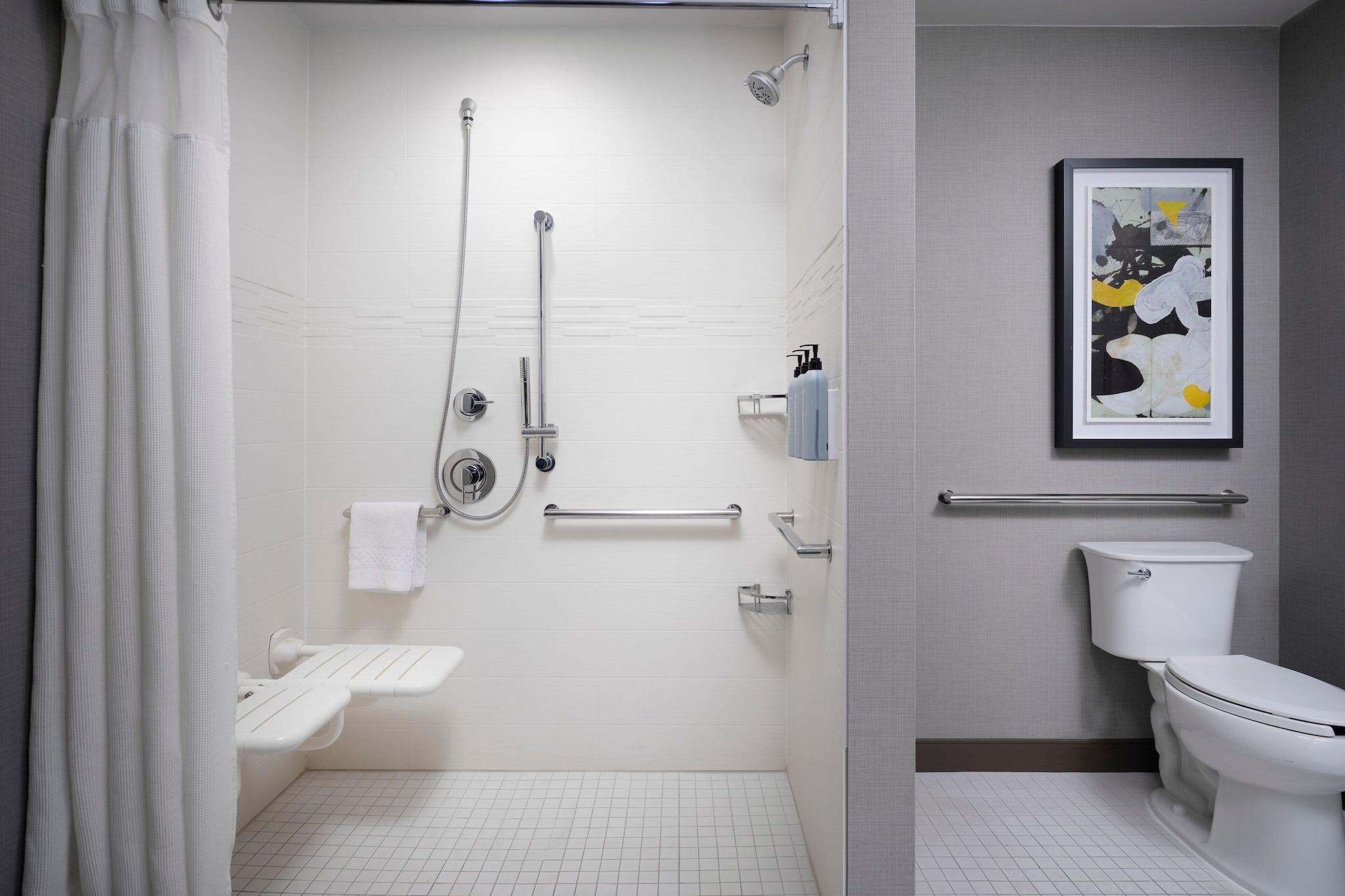 Suite King Bed One Bedroom 