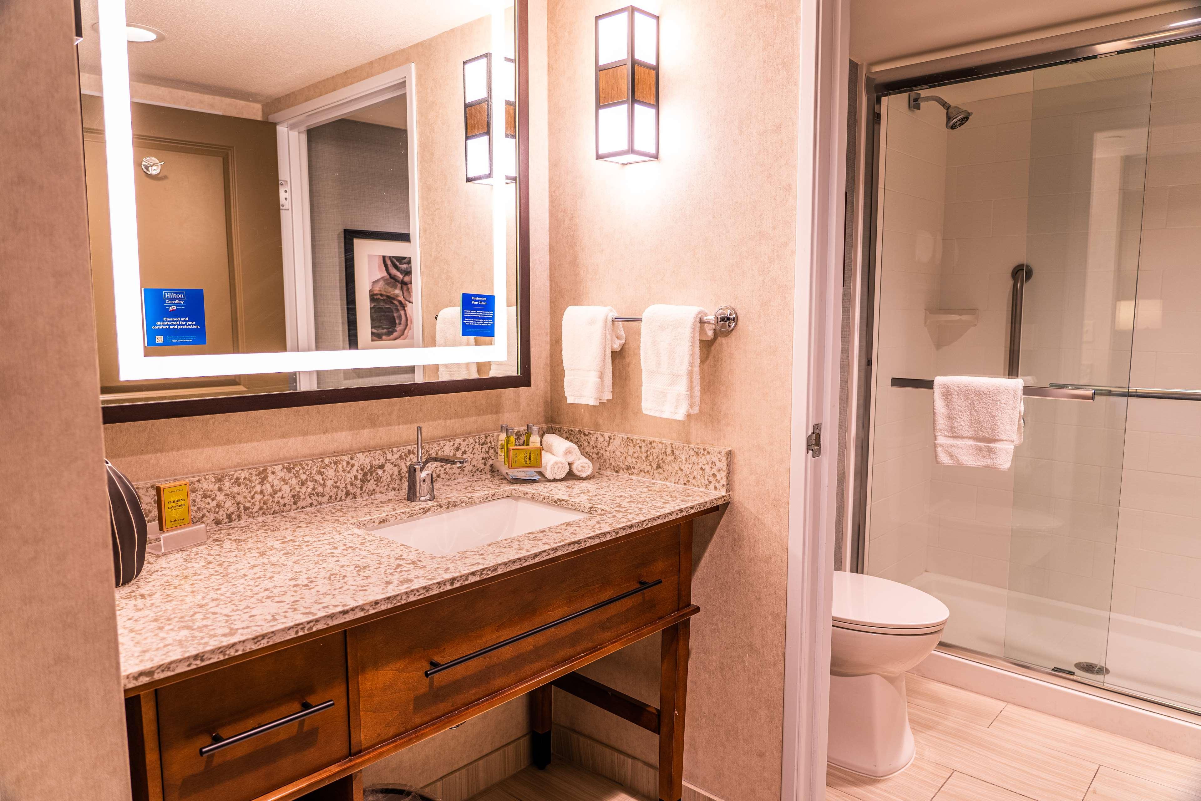 Suite King Bed Non Smoking