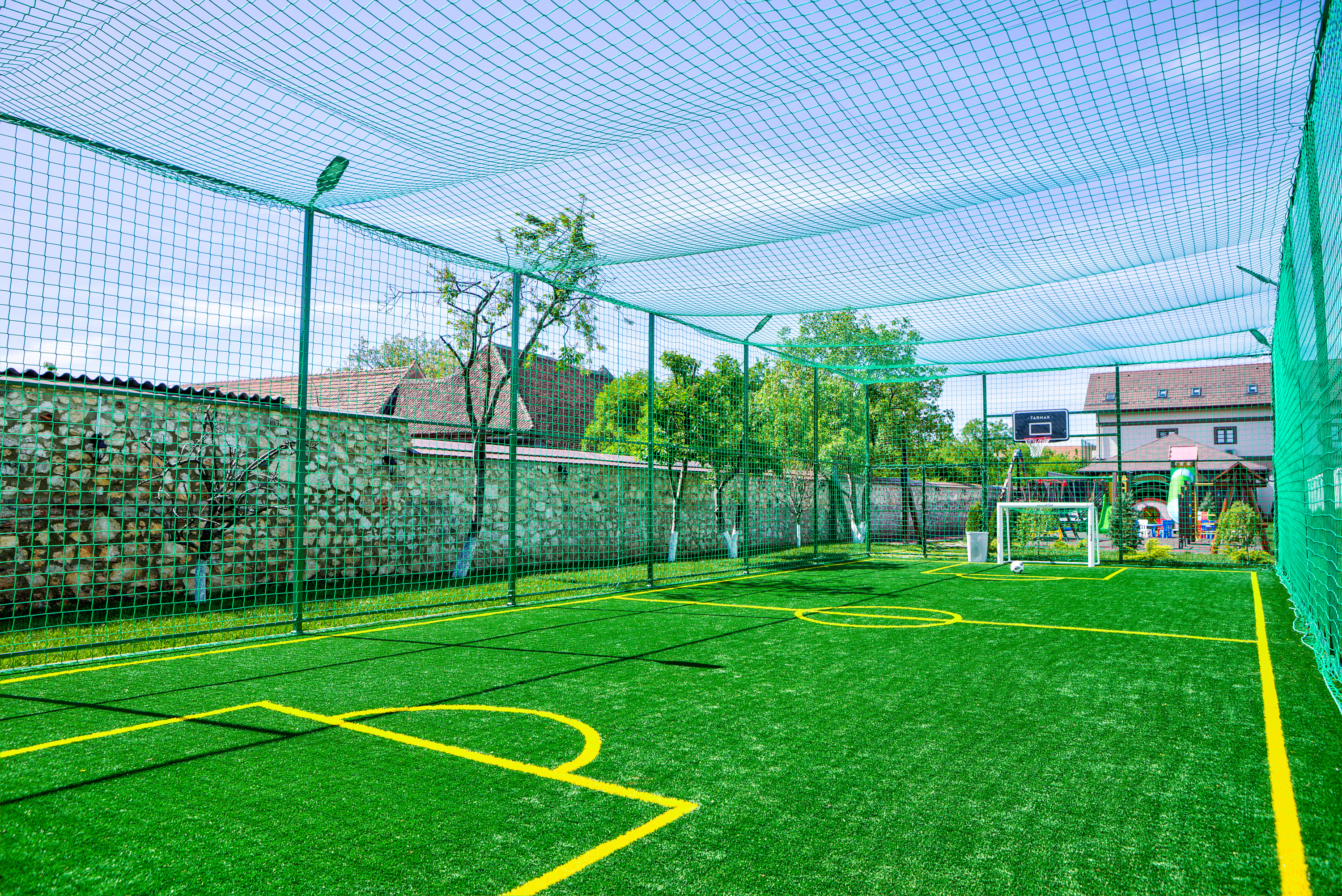 Sports and Entertainment