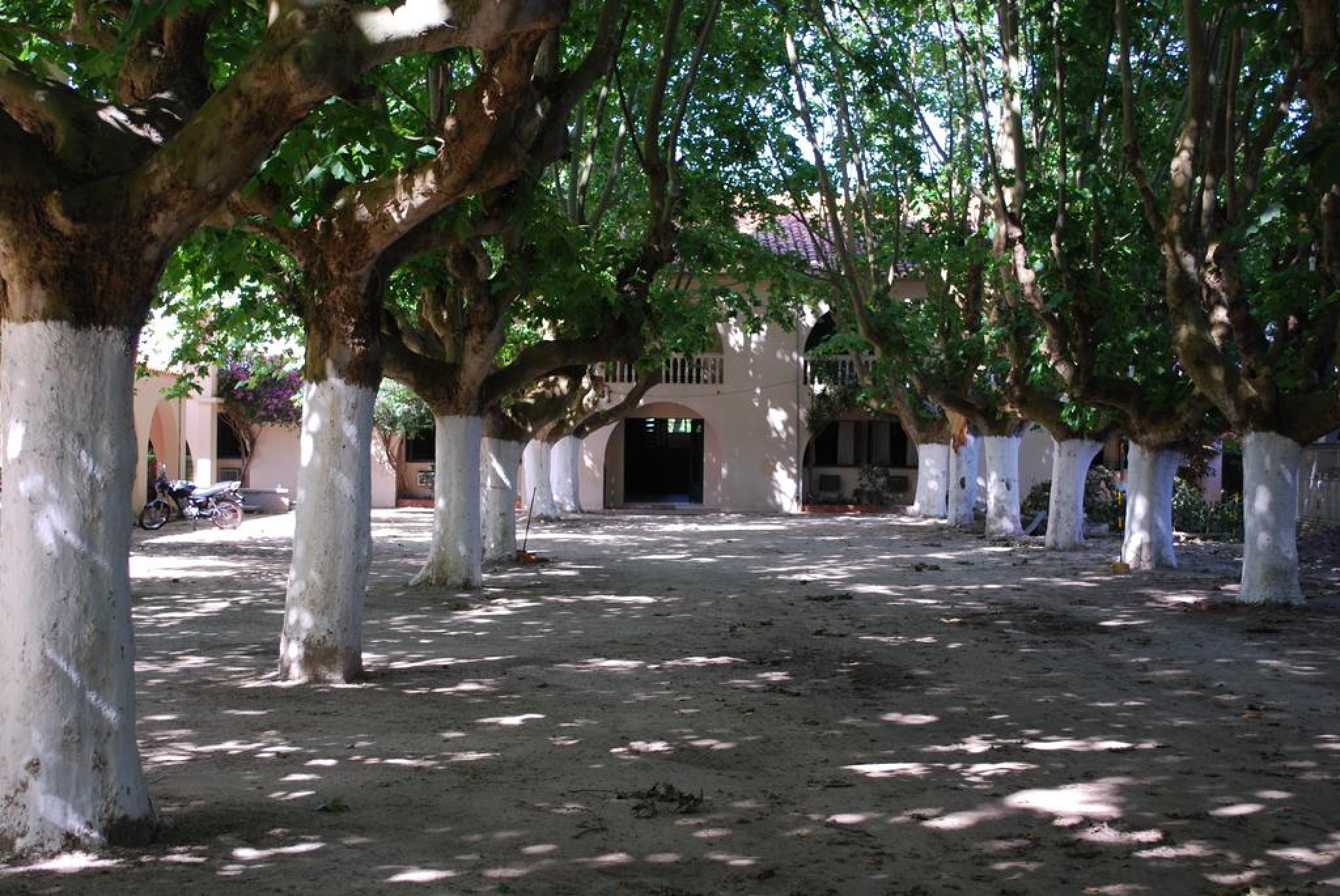 General View