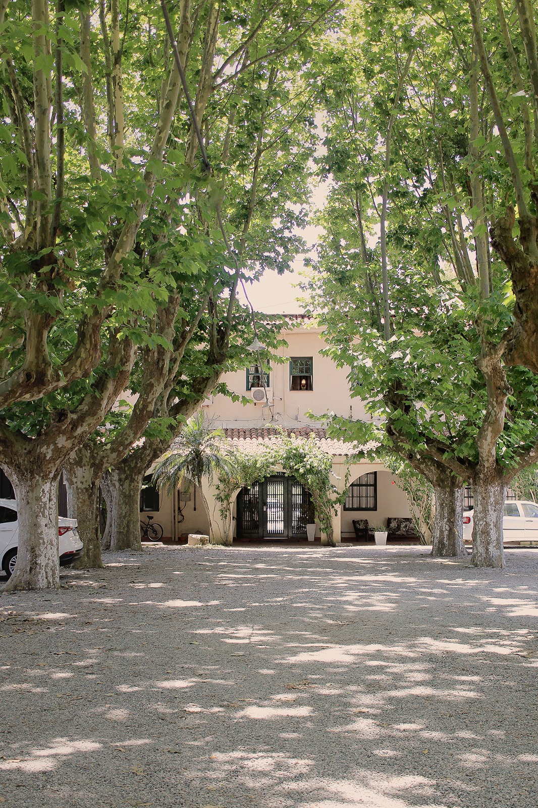 General View