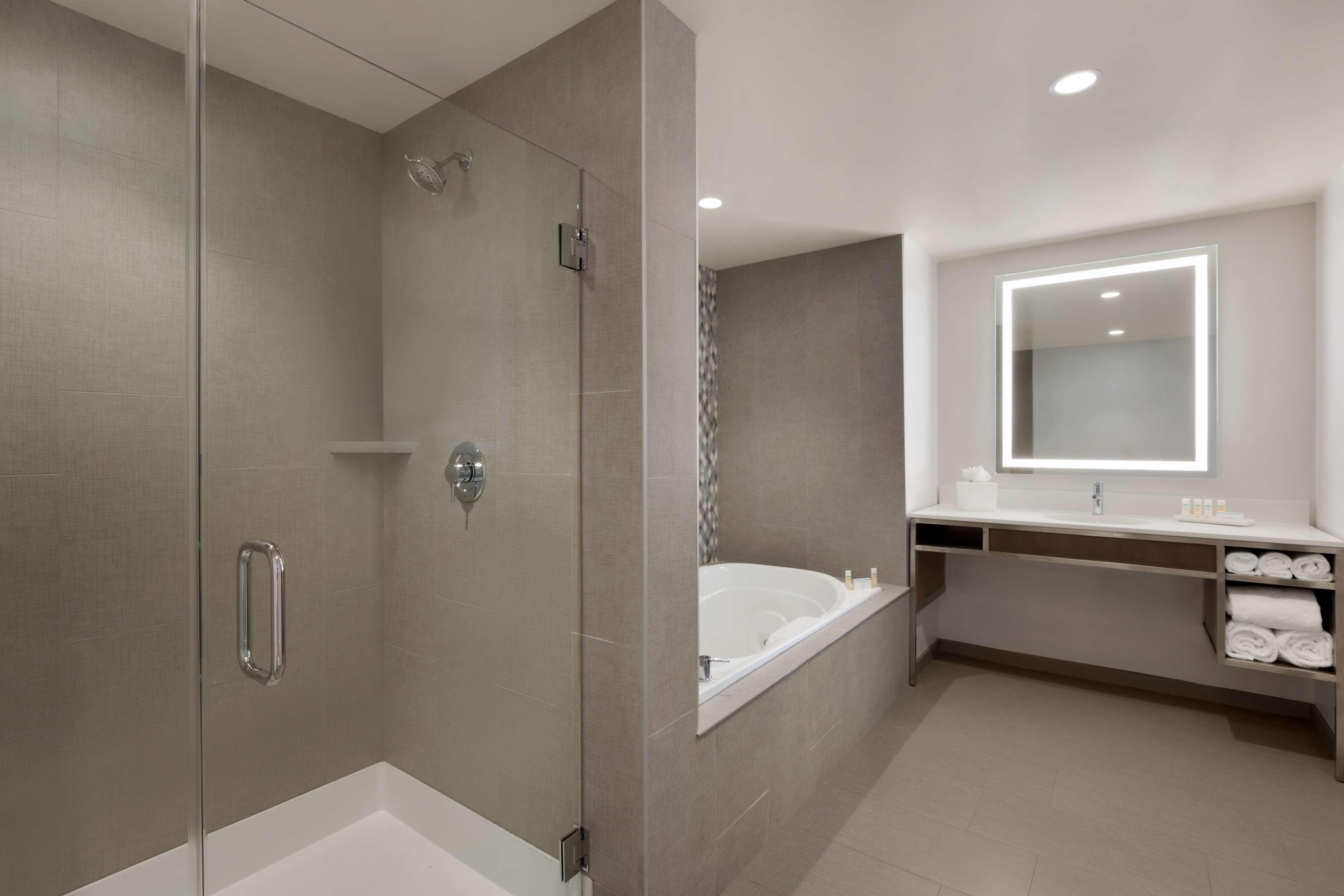 Suite King Bed One Bedroom 