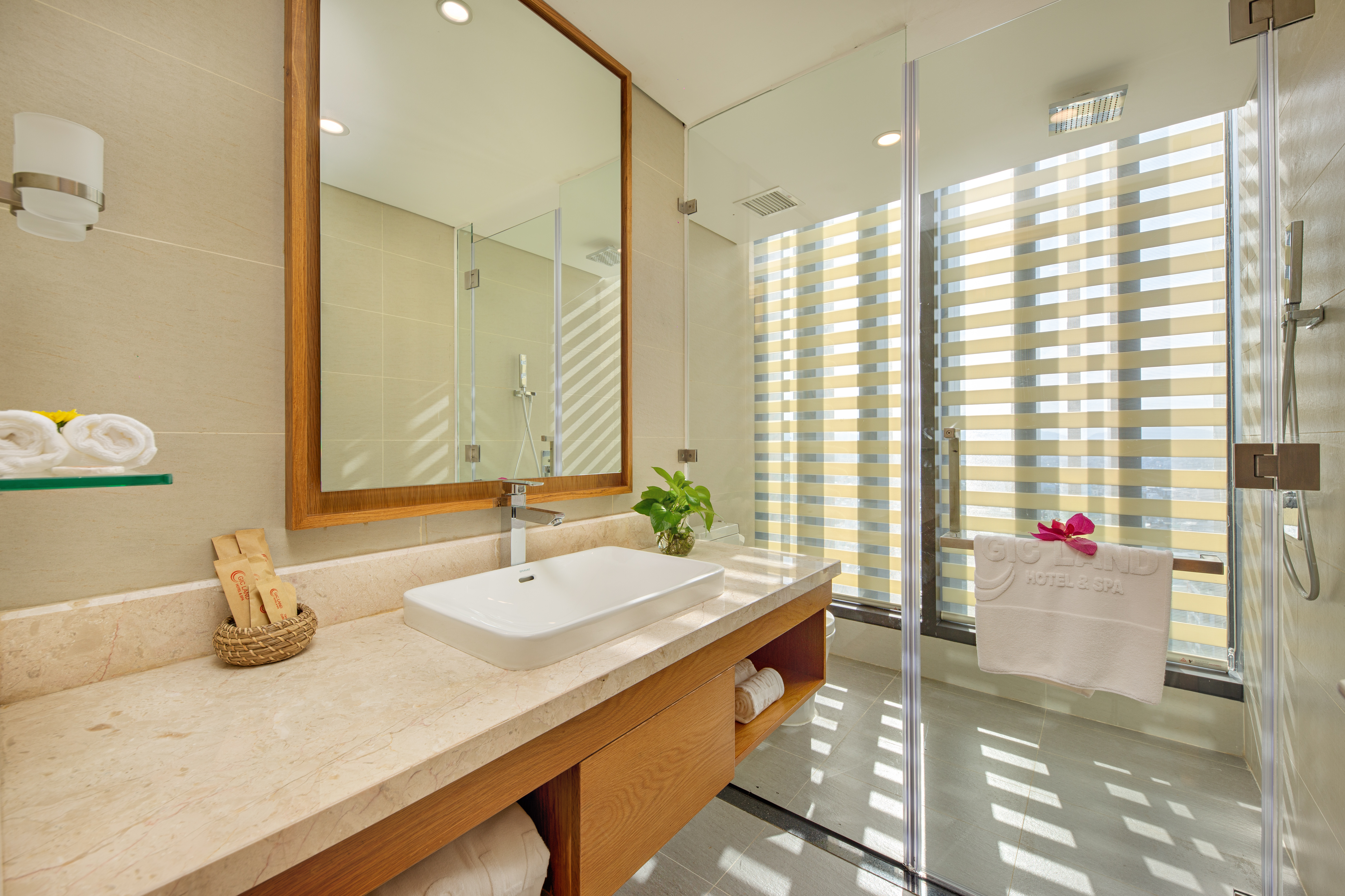 Family Room City View