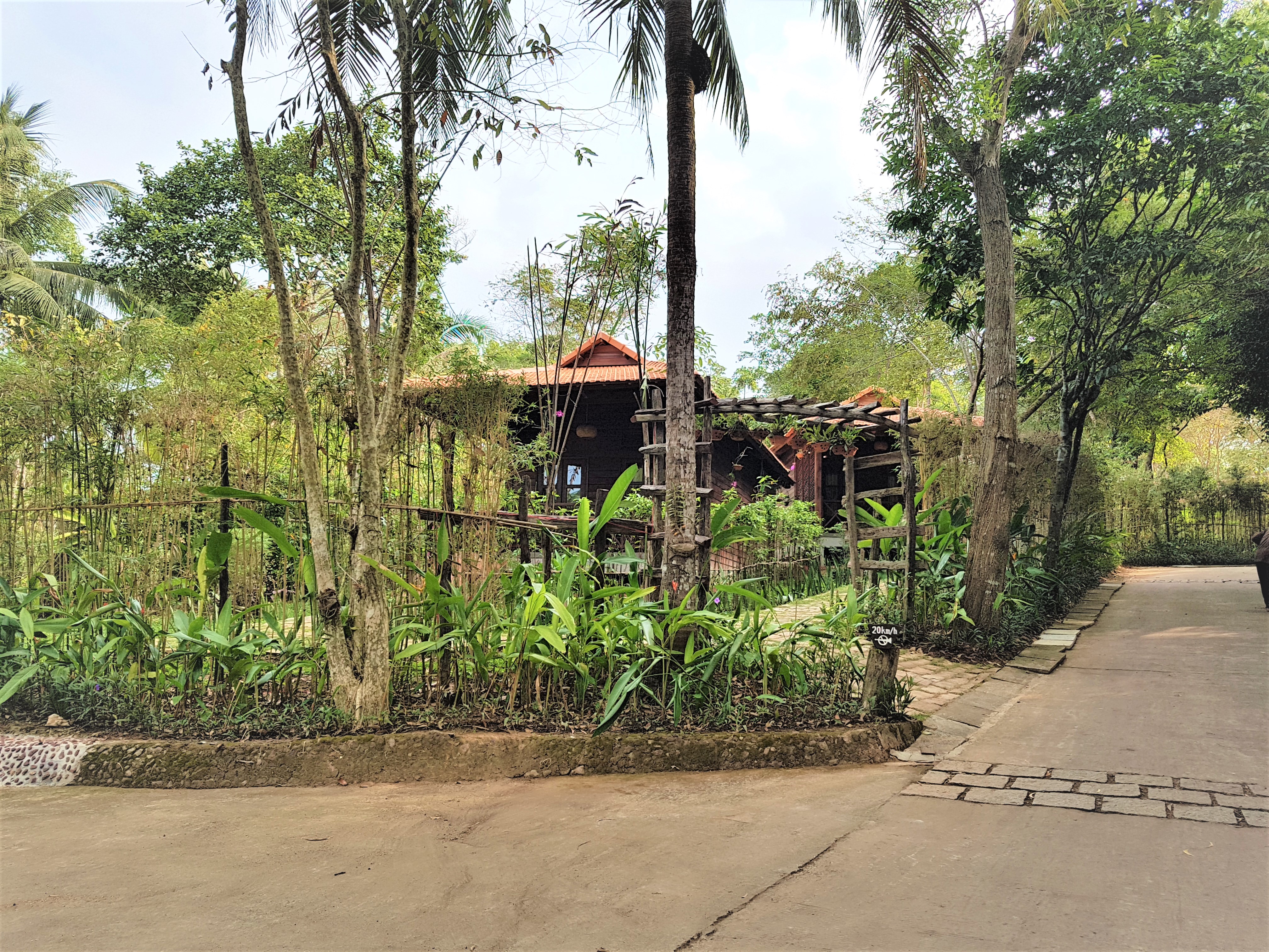 Bungalow Superior Garden View
