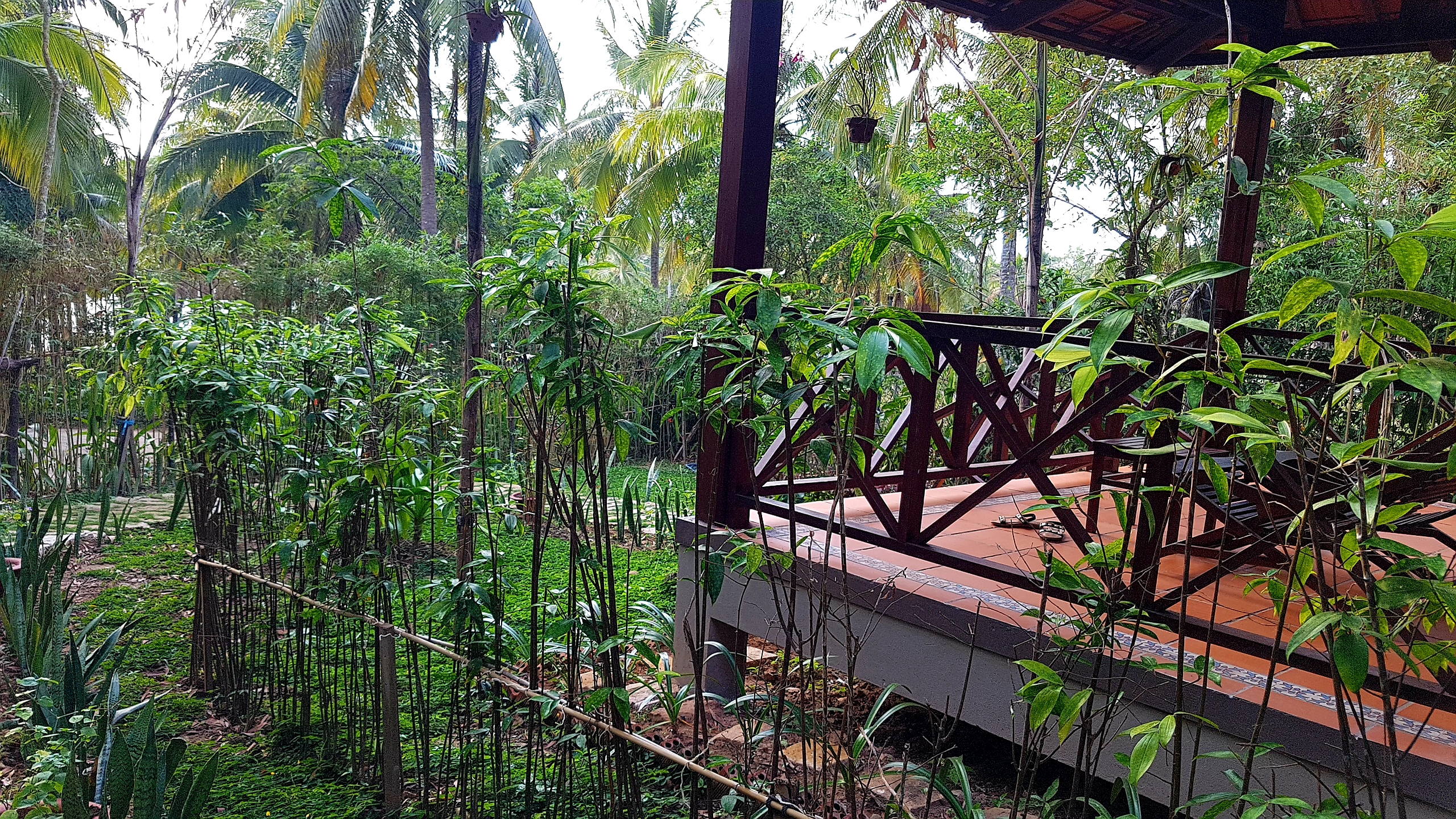 Bungalow Superior Garden View