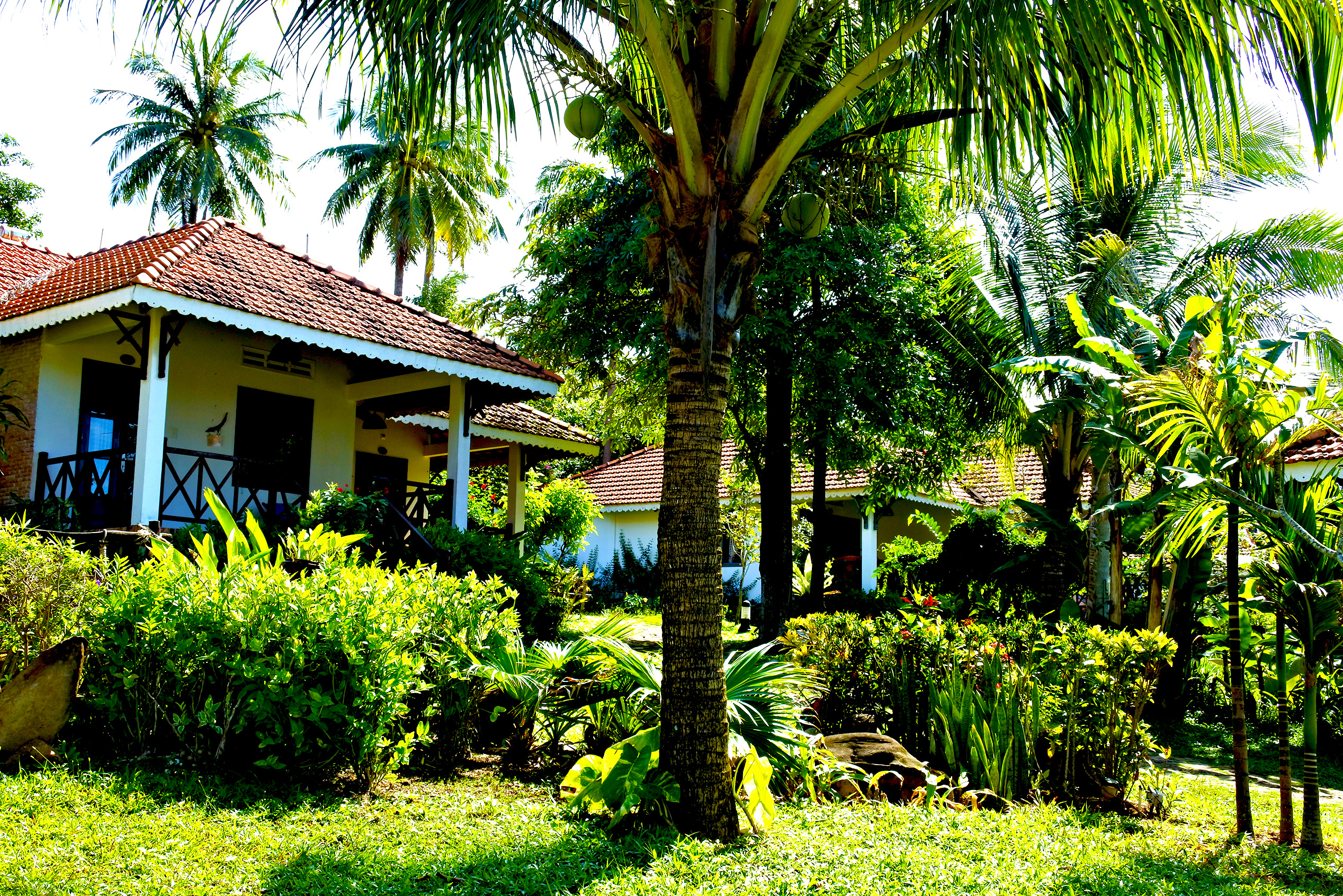 Bungalow Deluxe Garden View