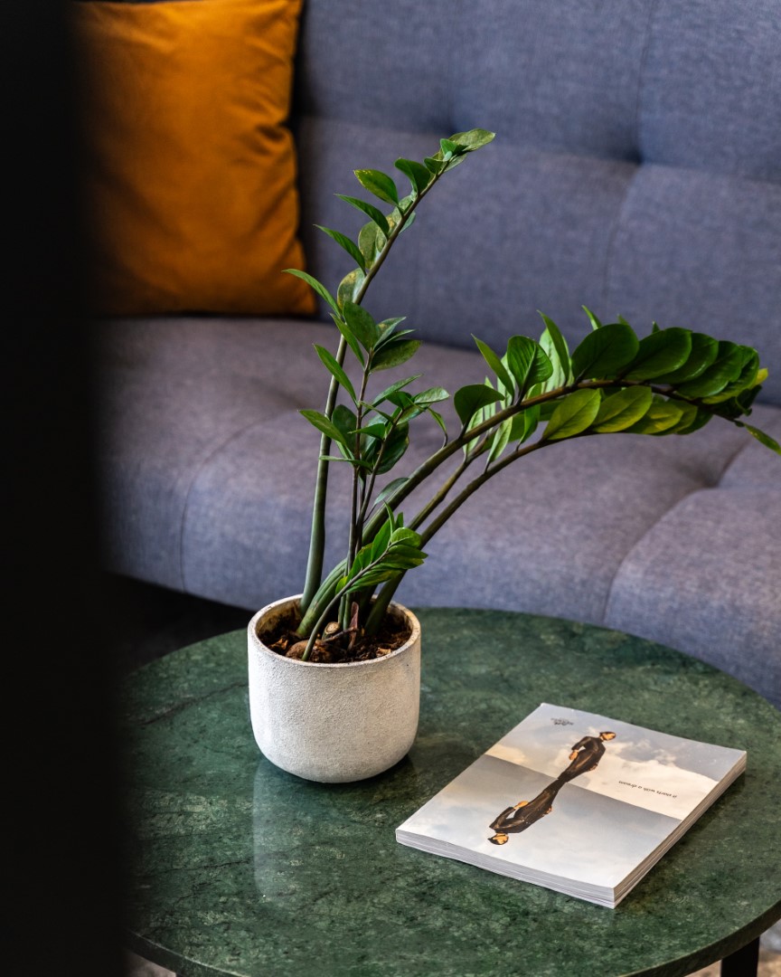 Suite Superior with Terrace