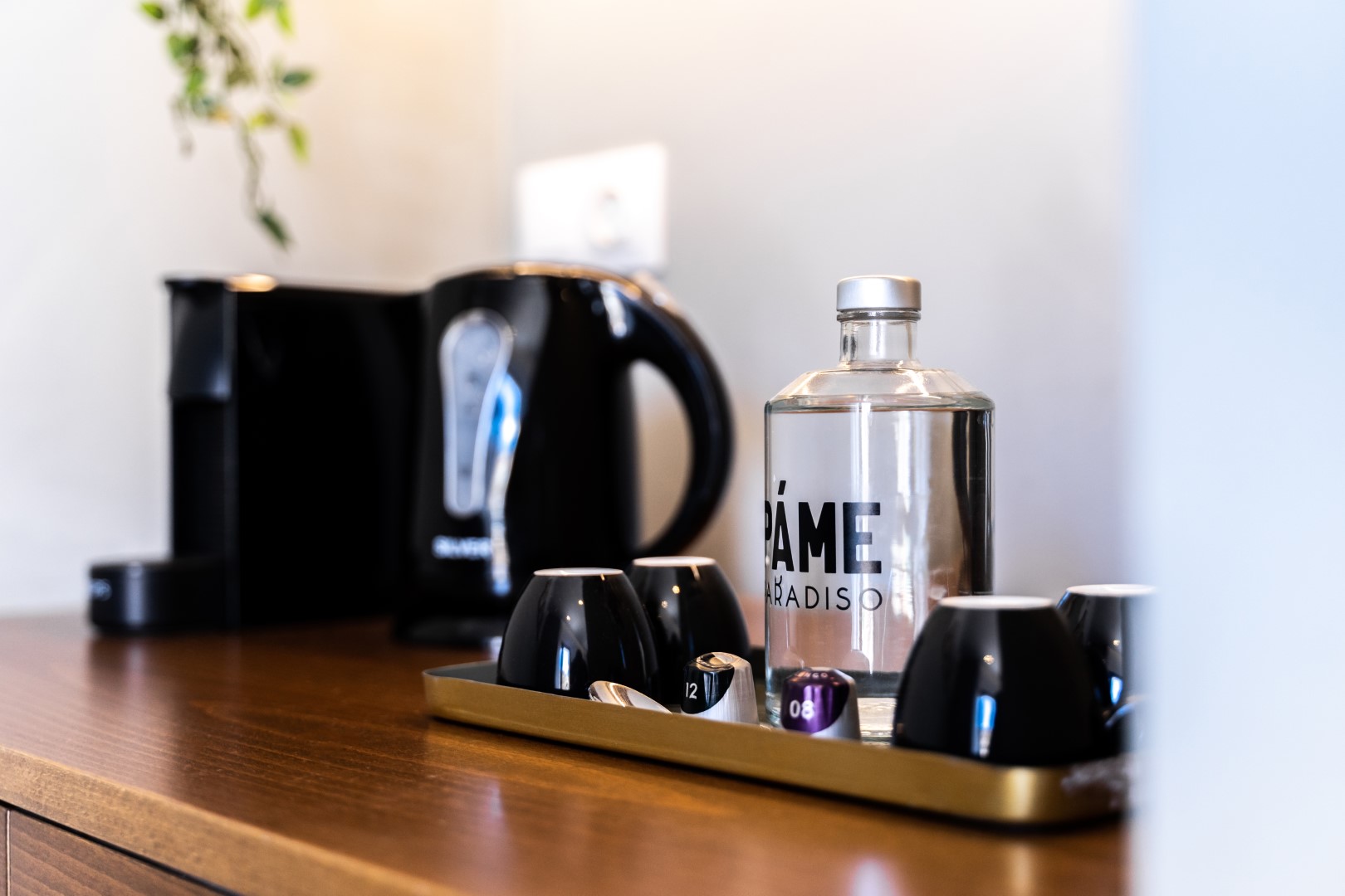 Suite One Bedroom with Terrace