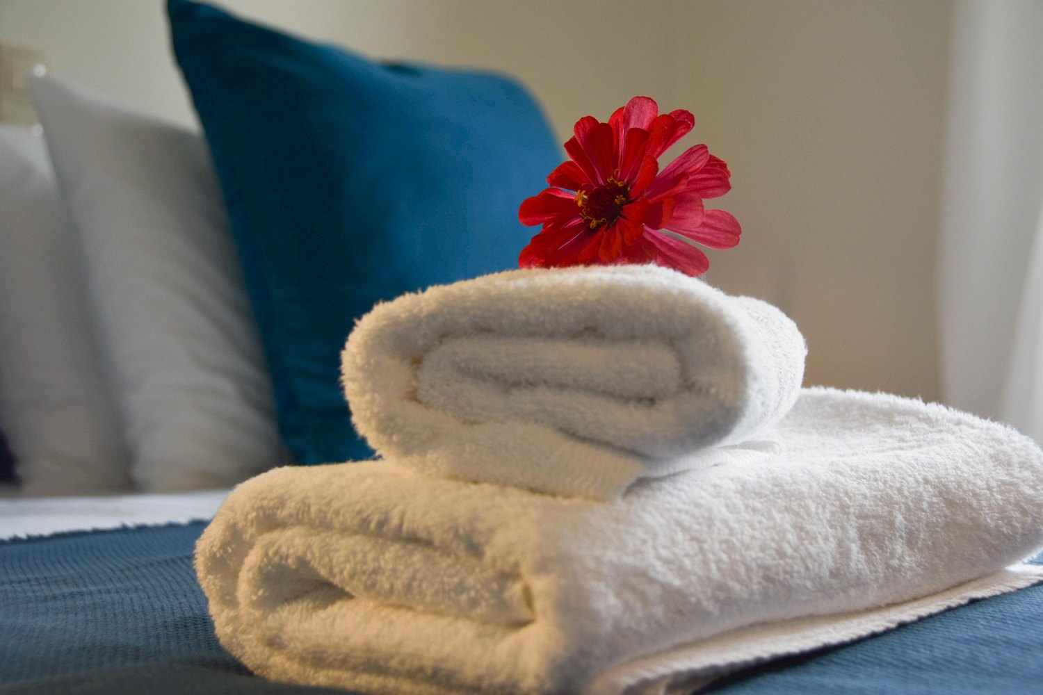 Double One Bedroom One Bathroom